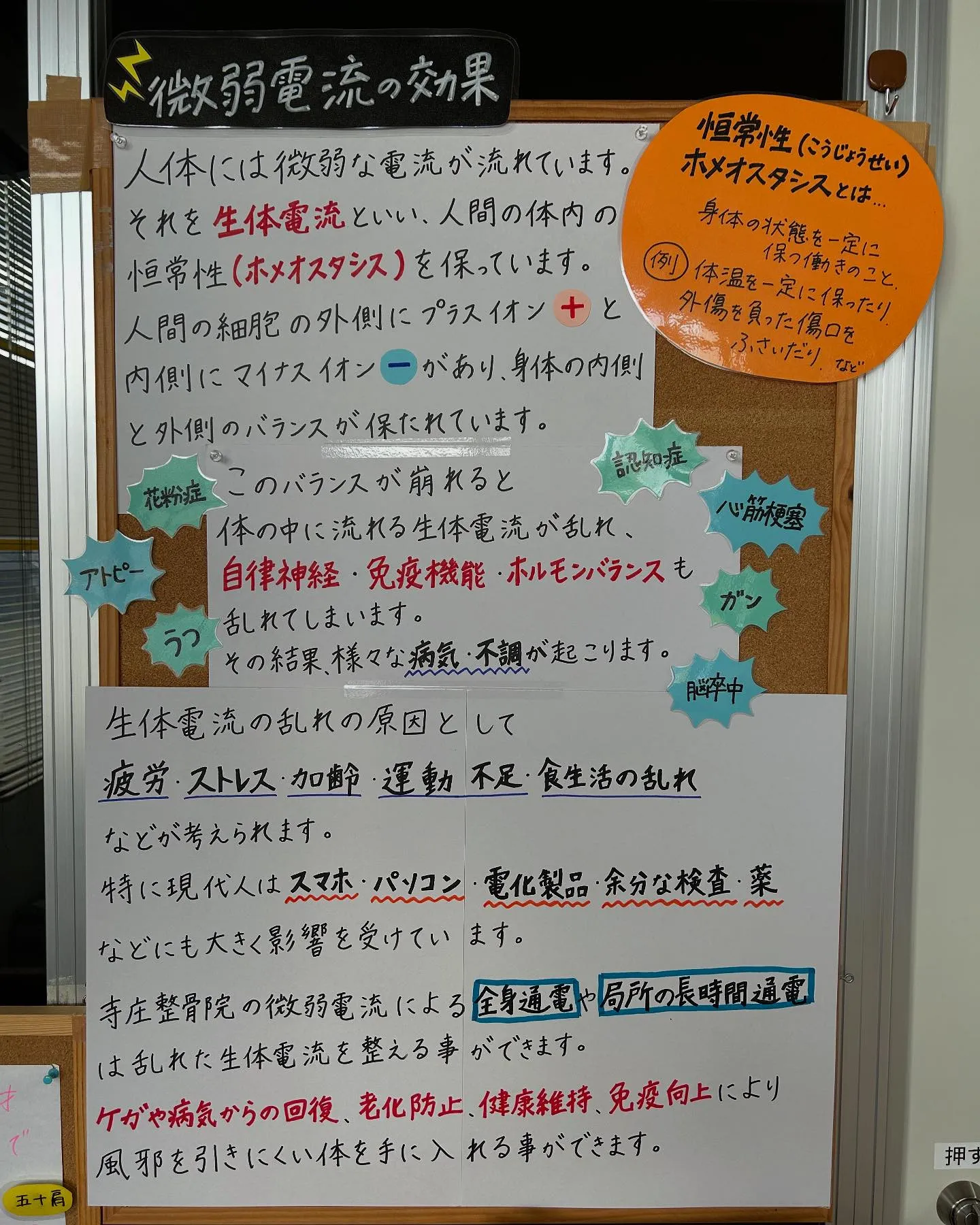 「微弱電流の効果」を紹介するボードが完成しました❕⚡️