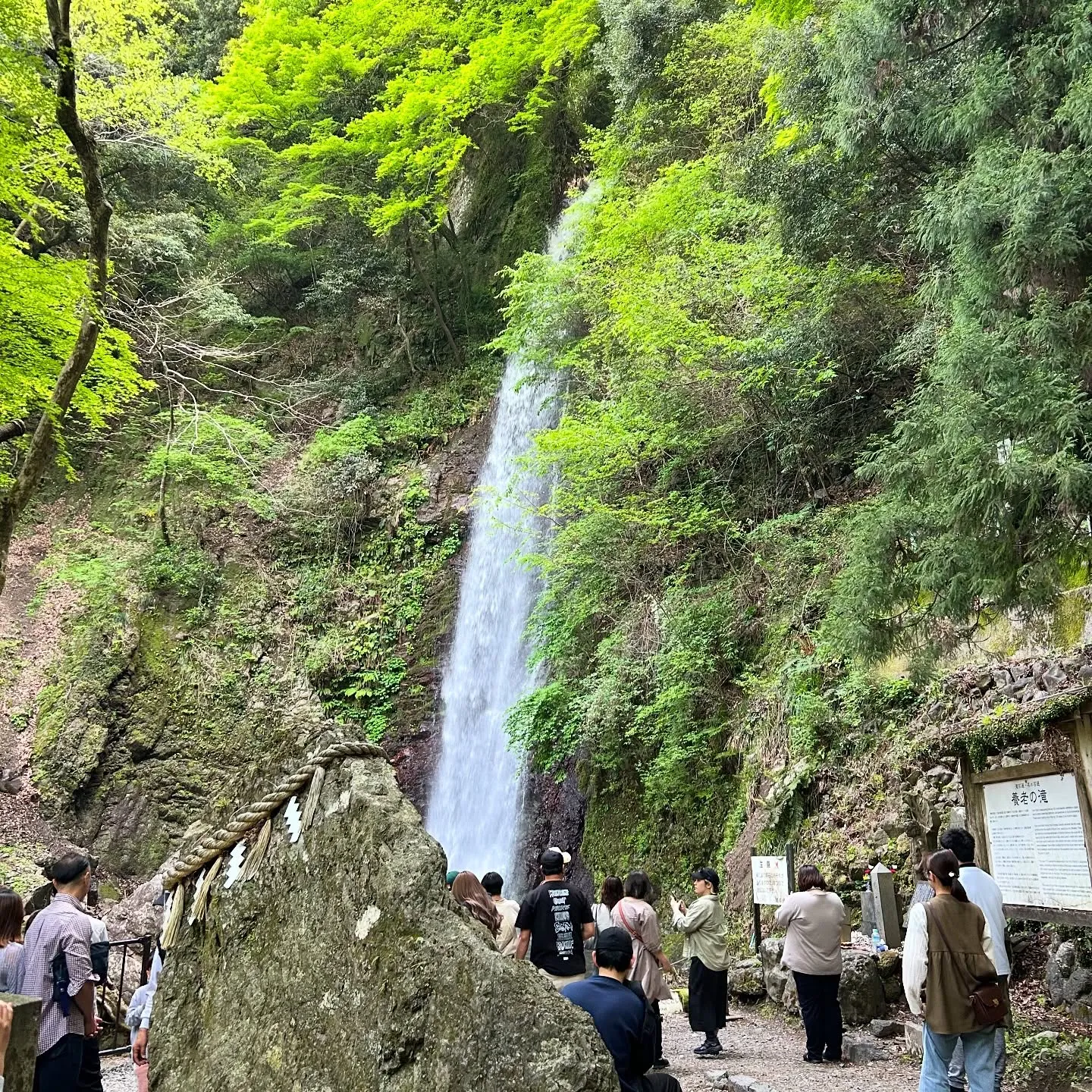 こんにちは(*^^*)寺庄整骨院のスタッフです🙋🏻♀️