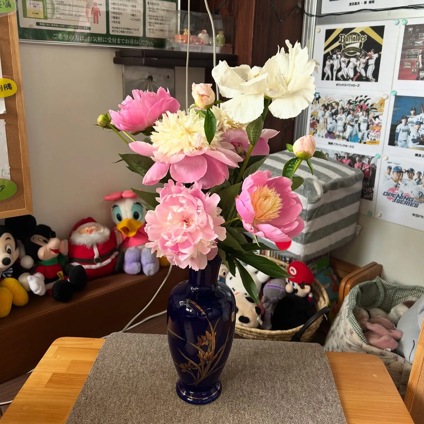 滋賀県・甲賀市の整骨院、接骨院なら寺庄整骨院へ🌼