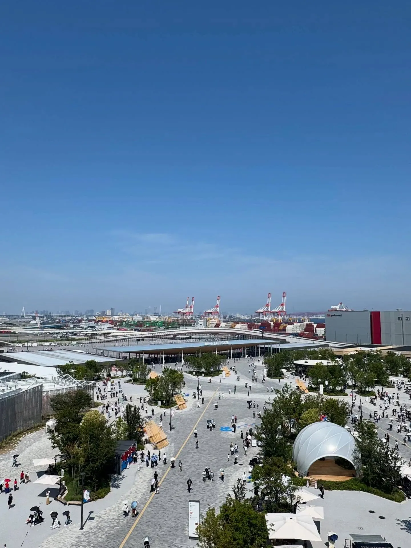 こんにちは!寺庄整骨院のスタッフです🙋🏻