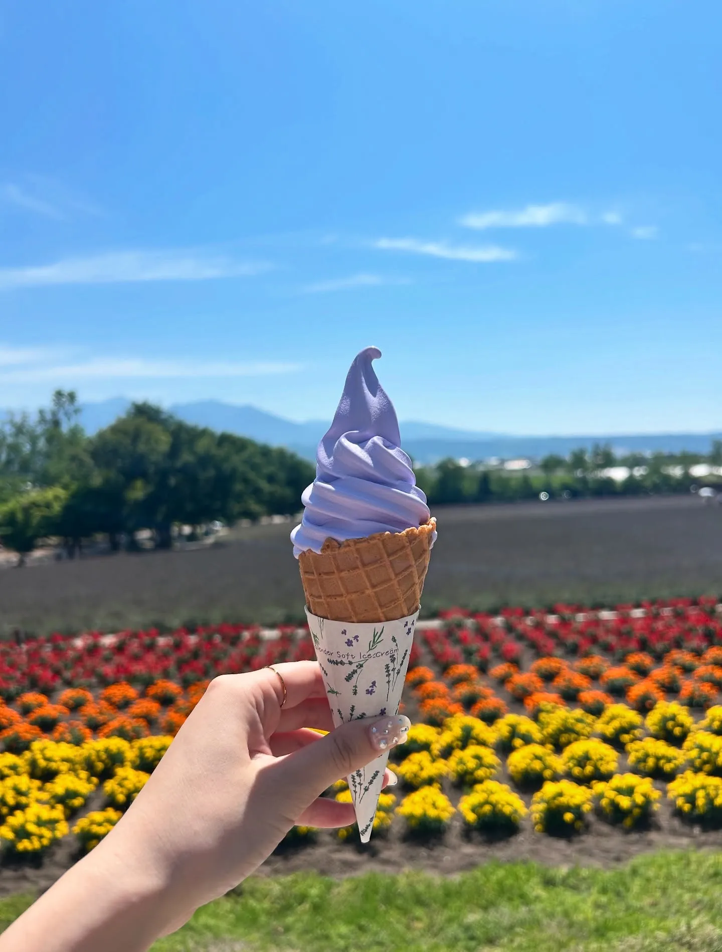 こんにちは(*^^*)寺庄整骨院のスタッフです!