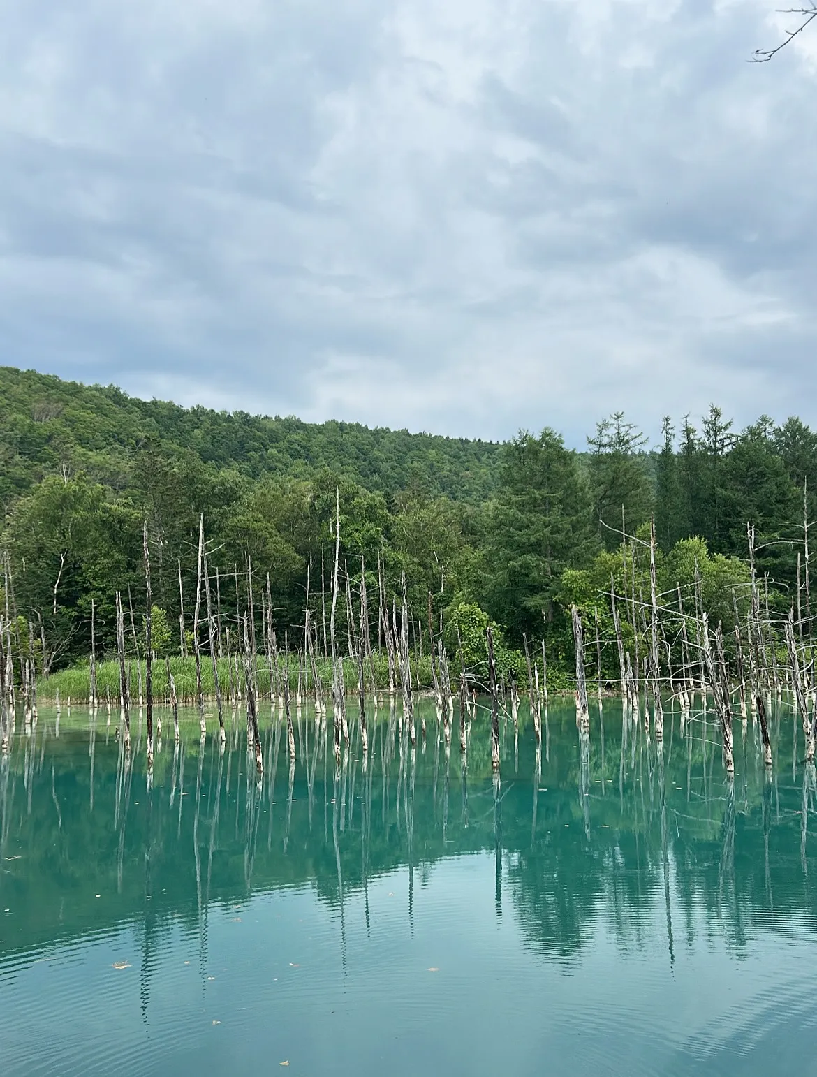 こんにちは(*^^*)寺庄整骨院のスタッフです!