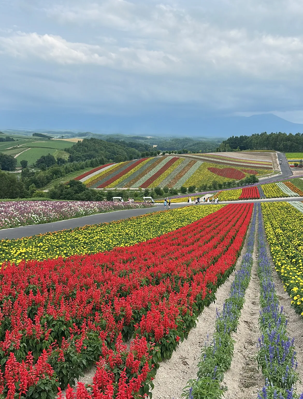 こんにちは(*^^*)寺庄整骨院のスタッフです!