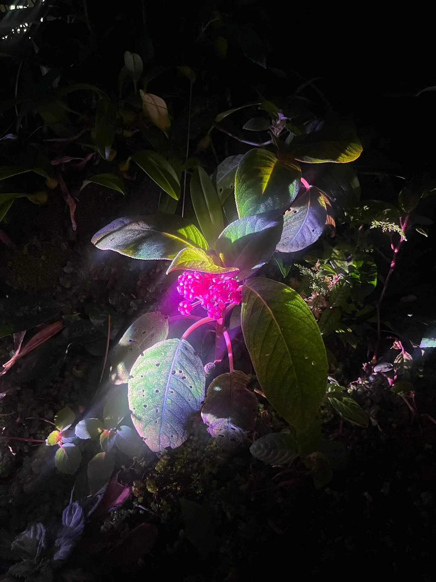 こんにちは❕寺庄整骨院のスタッフです🙇🏻‍♀️‪‪