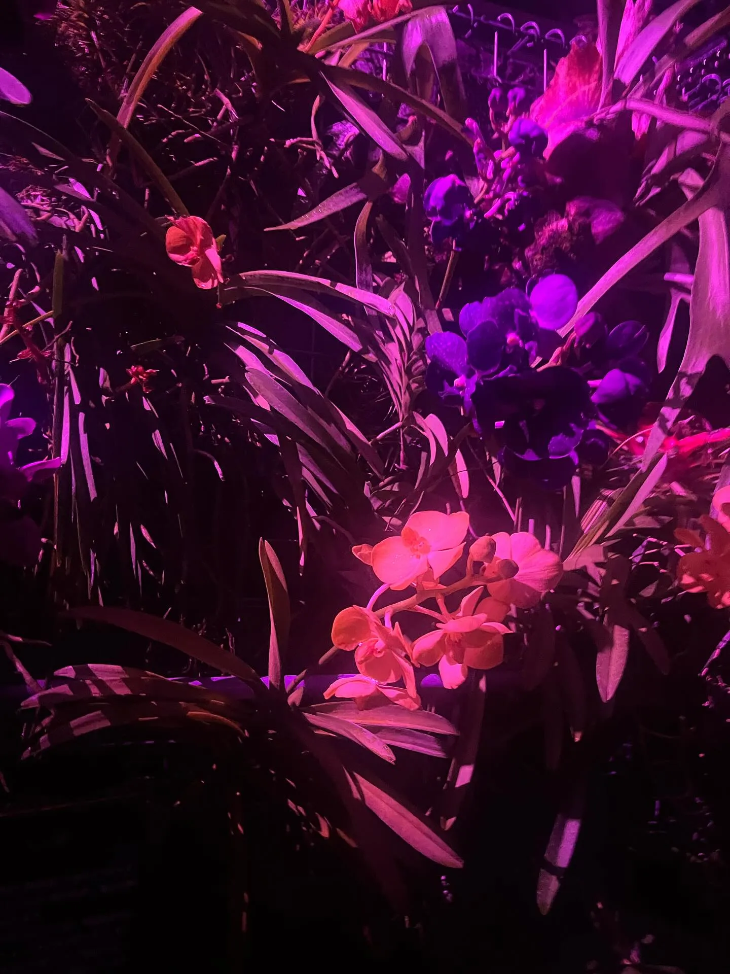 こんにちは❕寺庄整骨院のスタッフです🙇🏻‍♀️‪‪