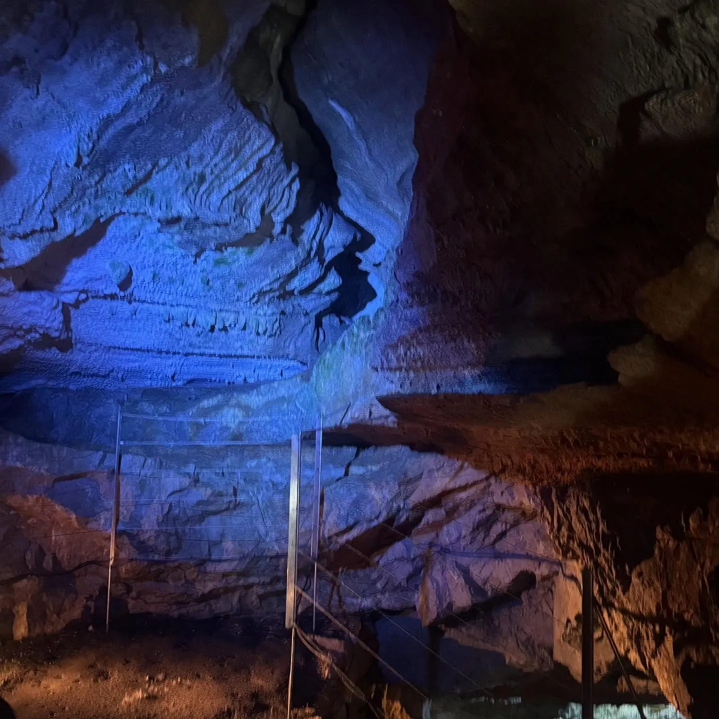 こんにちは！寺庄整骨院のスタッフです🍀