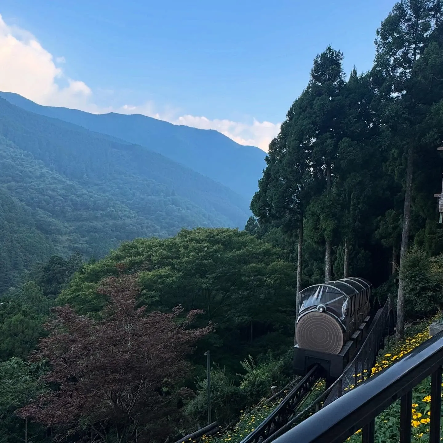 こんにちは！寺庄整骨院のスタッフです🍀