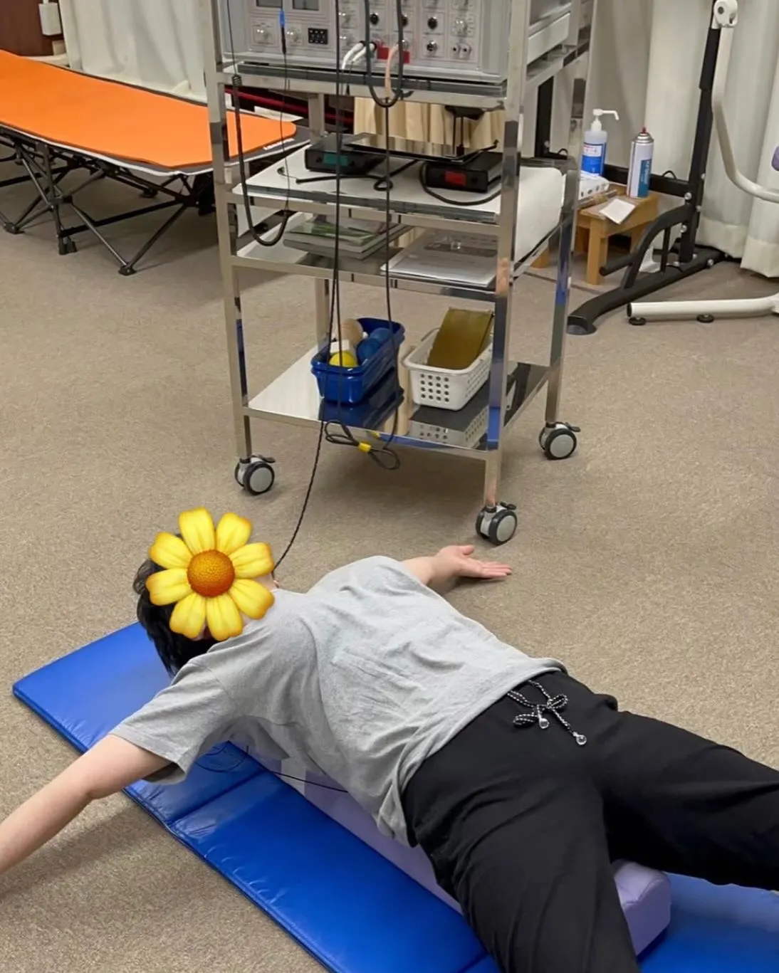 甲賀市、伊賀市で整骨院をお探しの方は寺庄整骨院へ🦥