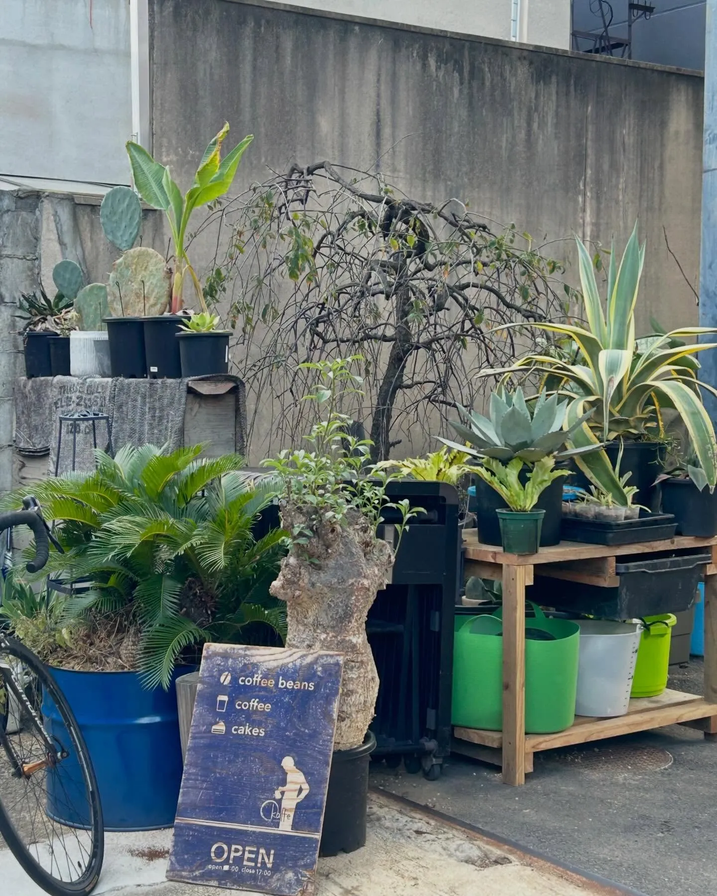 こんにちは✨寺庄接骨院のスタッフです🙂
