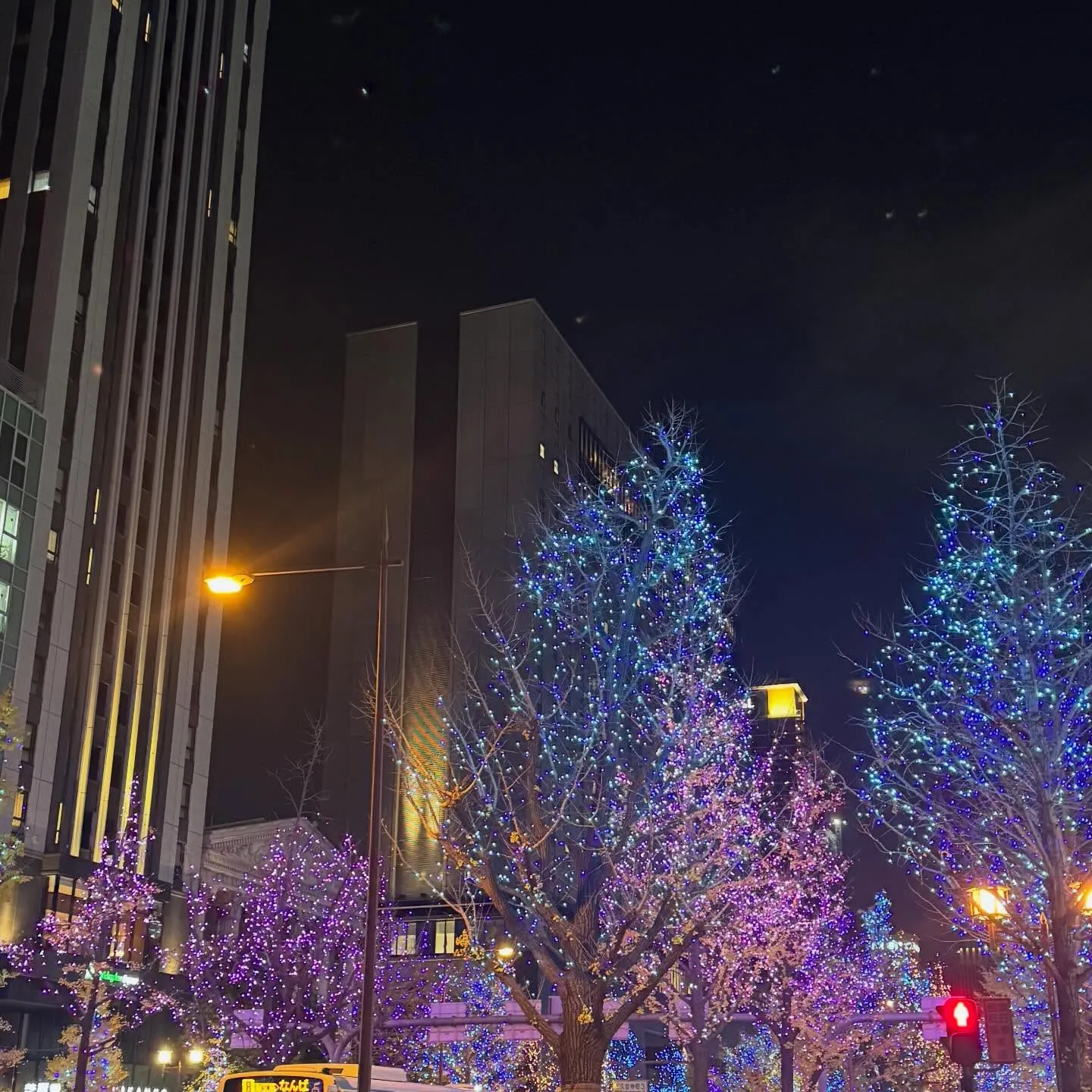 こんにちは⛄️寺庄整骨院のスタッフです✋🏻