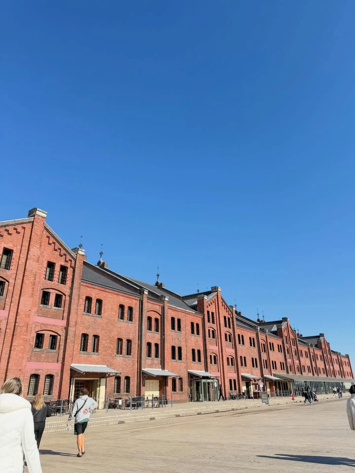 こんにちは！寺庄接骨院のスタッフです😽