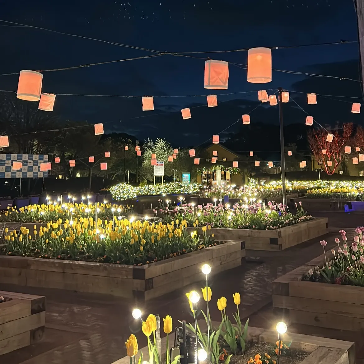 こんにちは(*^^*)寺庄整骨院のスタッフです🙆🏻‍♀️