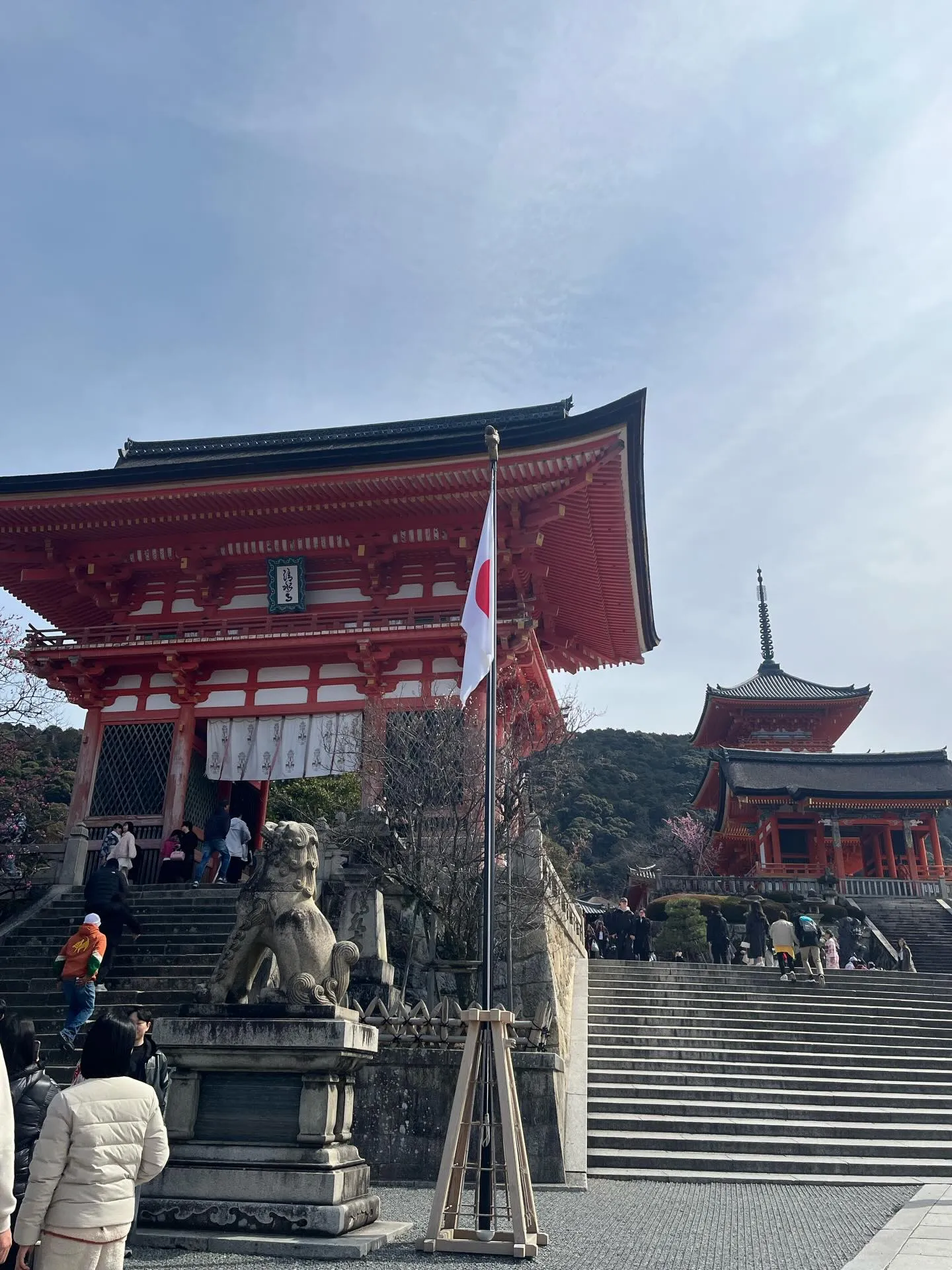 こんにちは！寺庄整骨院のスタッフです💁🏻‍♂️🍀