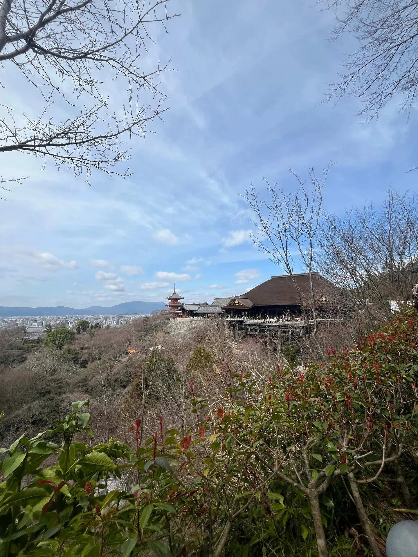 こんにちは！寺庄整骨院のスタッフです💁🏻‍♂️🍀