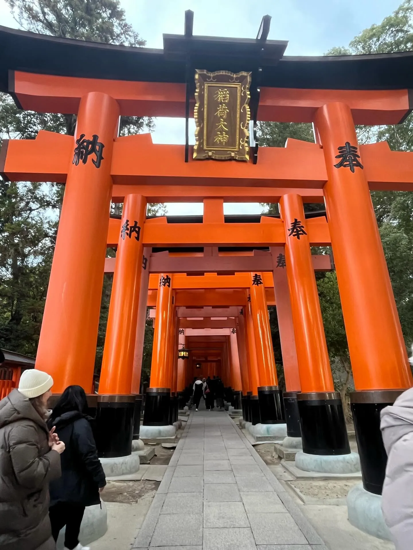こんにちは！寺庄整骨院のスタッフです💁🏻‍♂️🍀