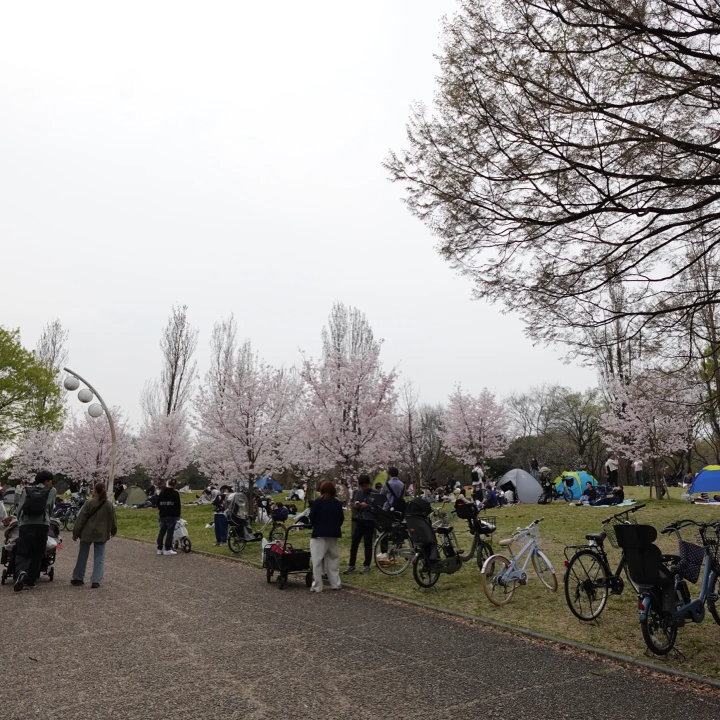 こんにちは(*^^*)寺庄整骨院のスタッフです🍀