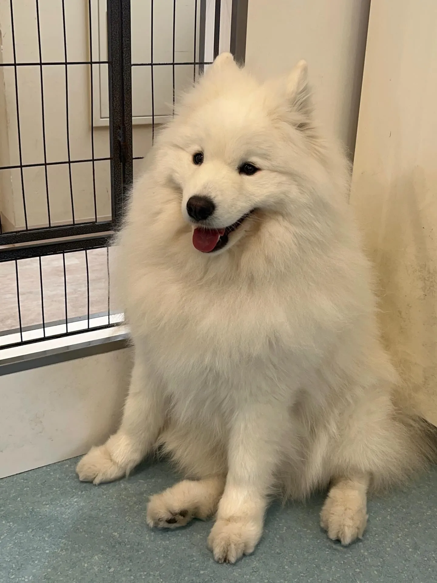 こんにちは！寺庄整骨院のスタッフです！