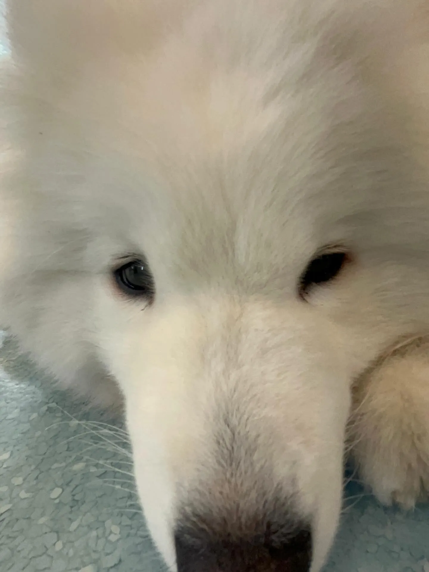 こんにちは！寺庄整骨院のスタッフです！