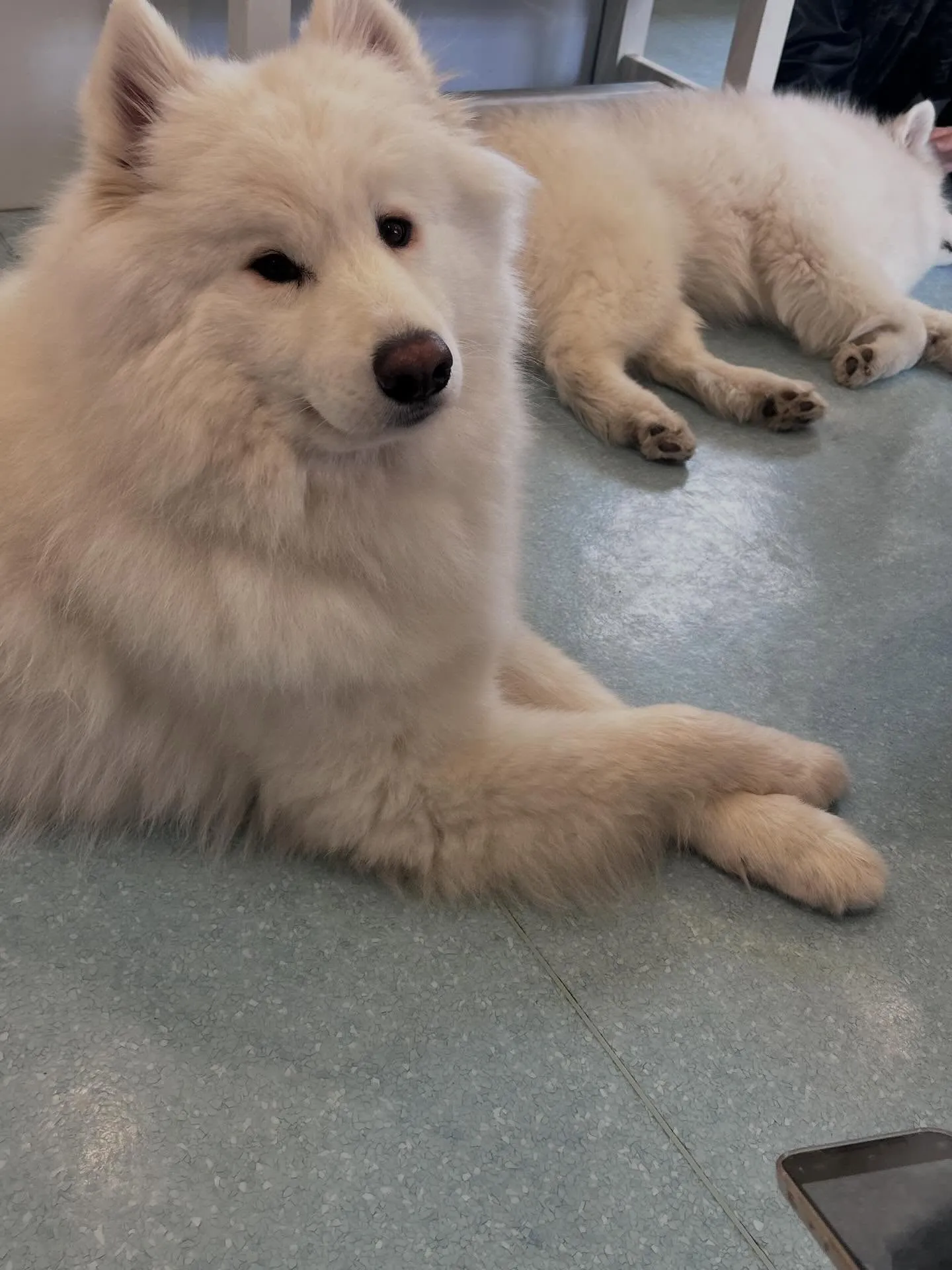 こんにちは！寺庄整骨院のスタッフです！