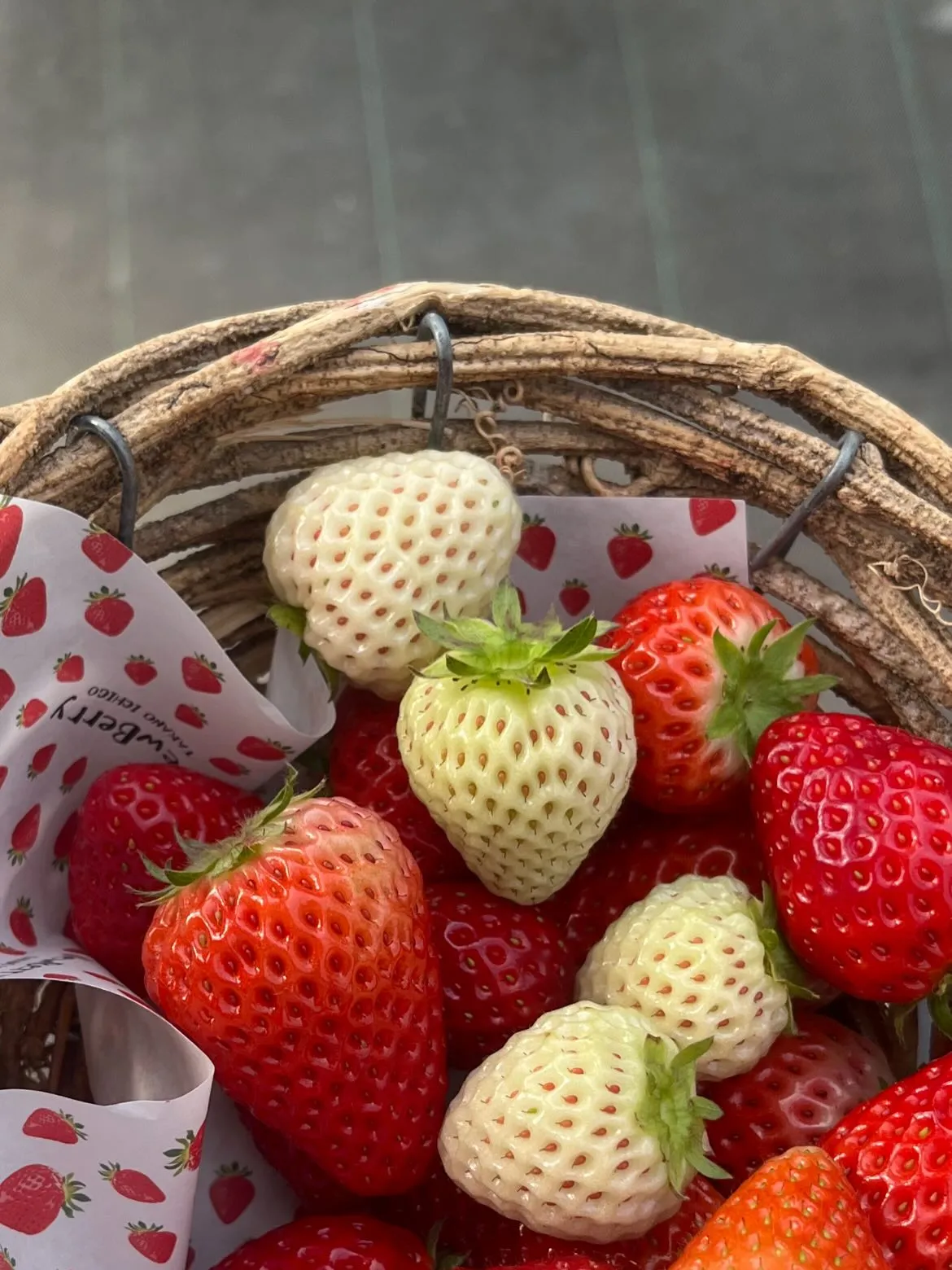 こんにちは！寺庄整骨院のスタッフです💁🏻‍♂️