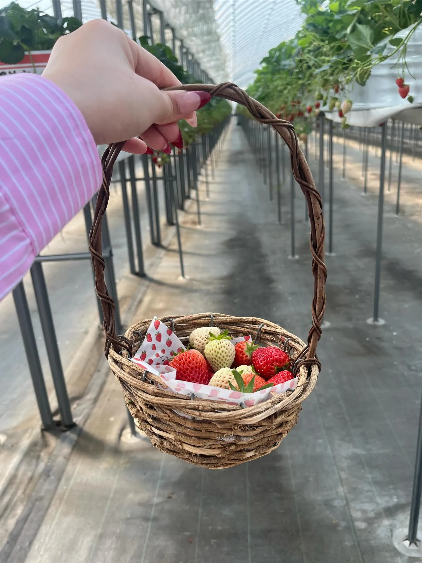 こんにちは！寺庄整骨院のスタッフです💁🏻‍♂️