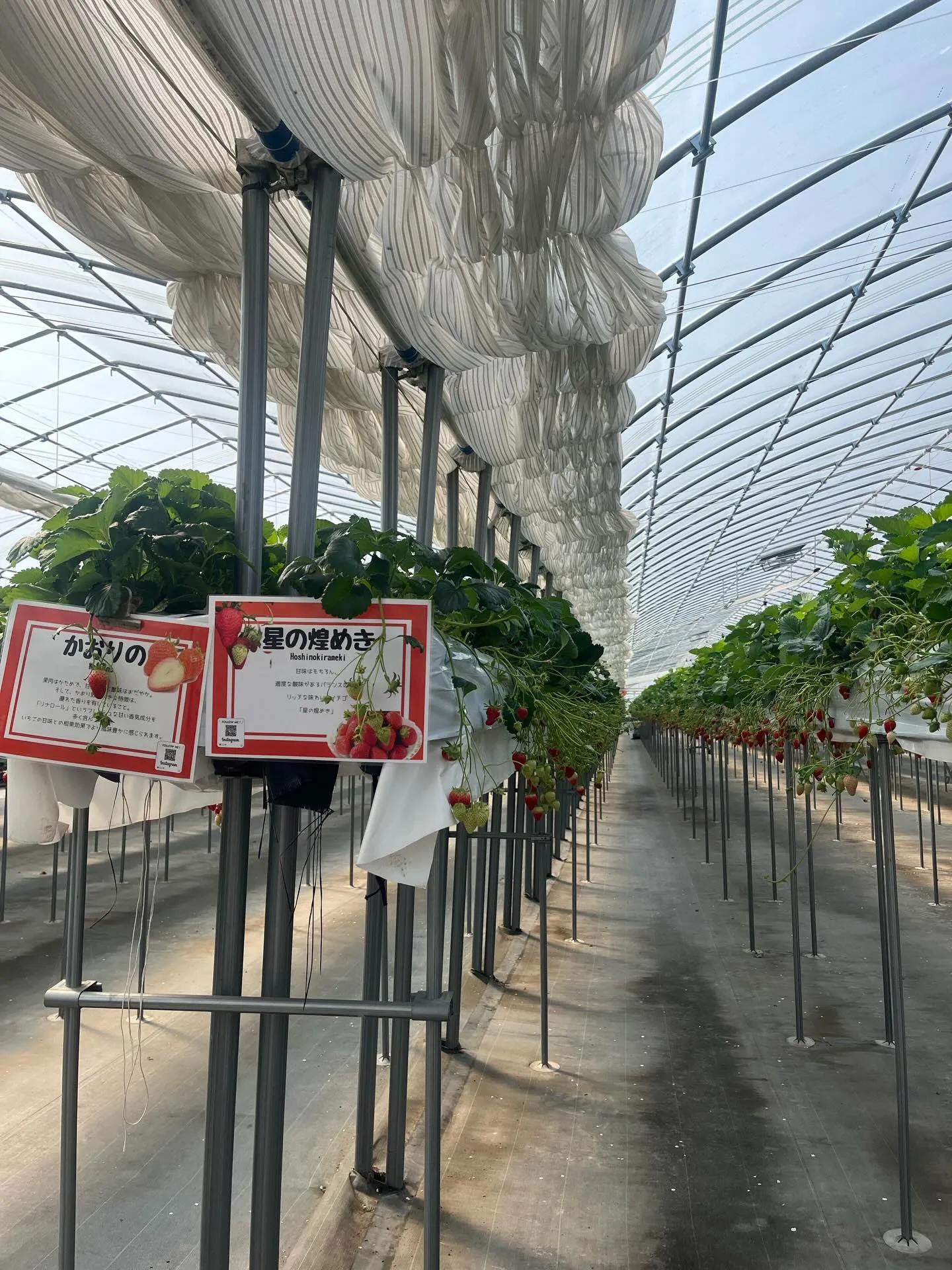 こんにちは！寺庄整骨院のスタッフです💁🏻‍♂️