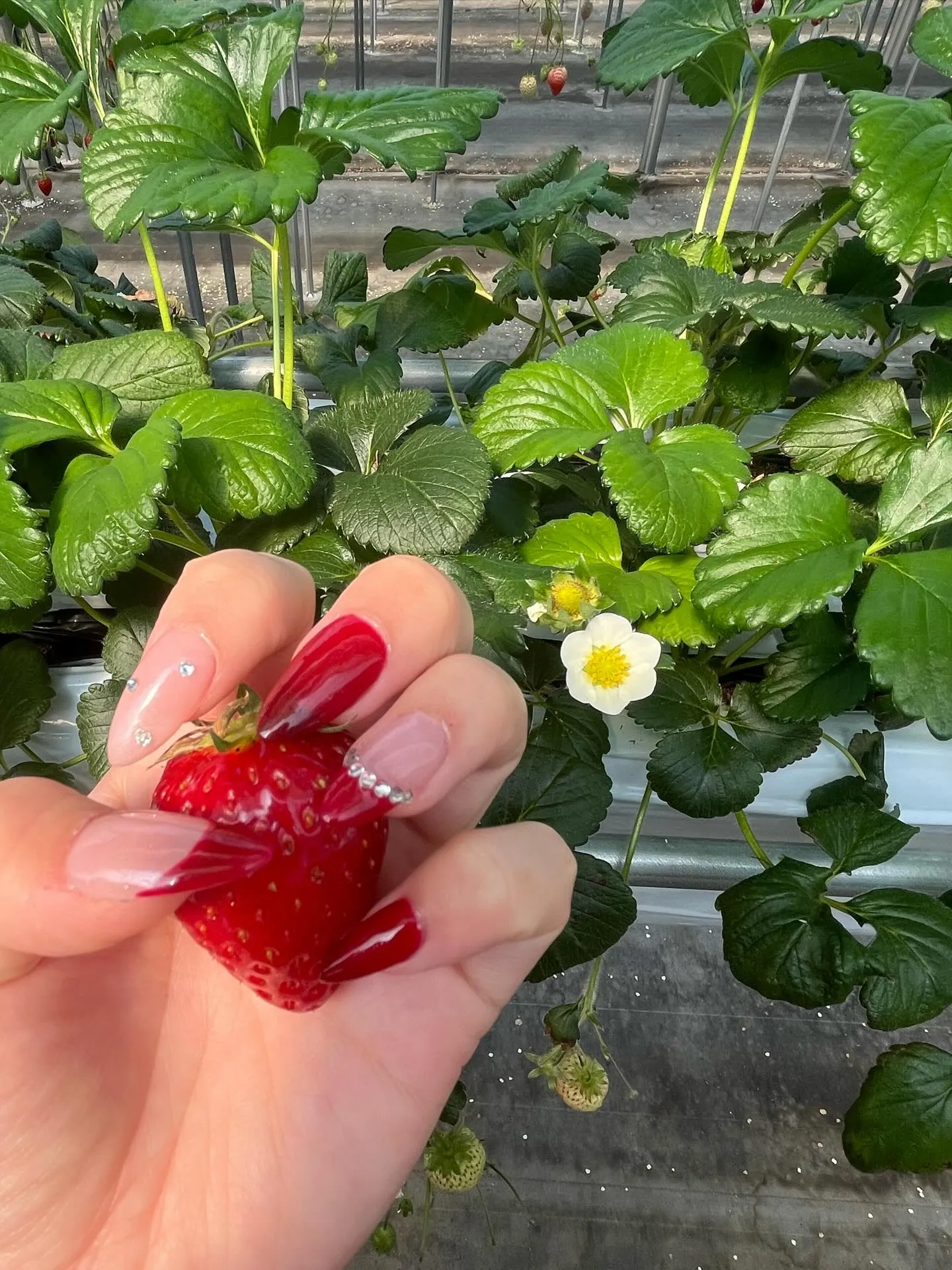 こんにちは！寺庄整骨院のスタッフです💁🏻‍♂️