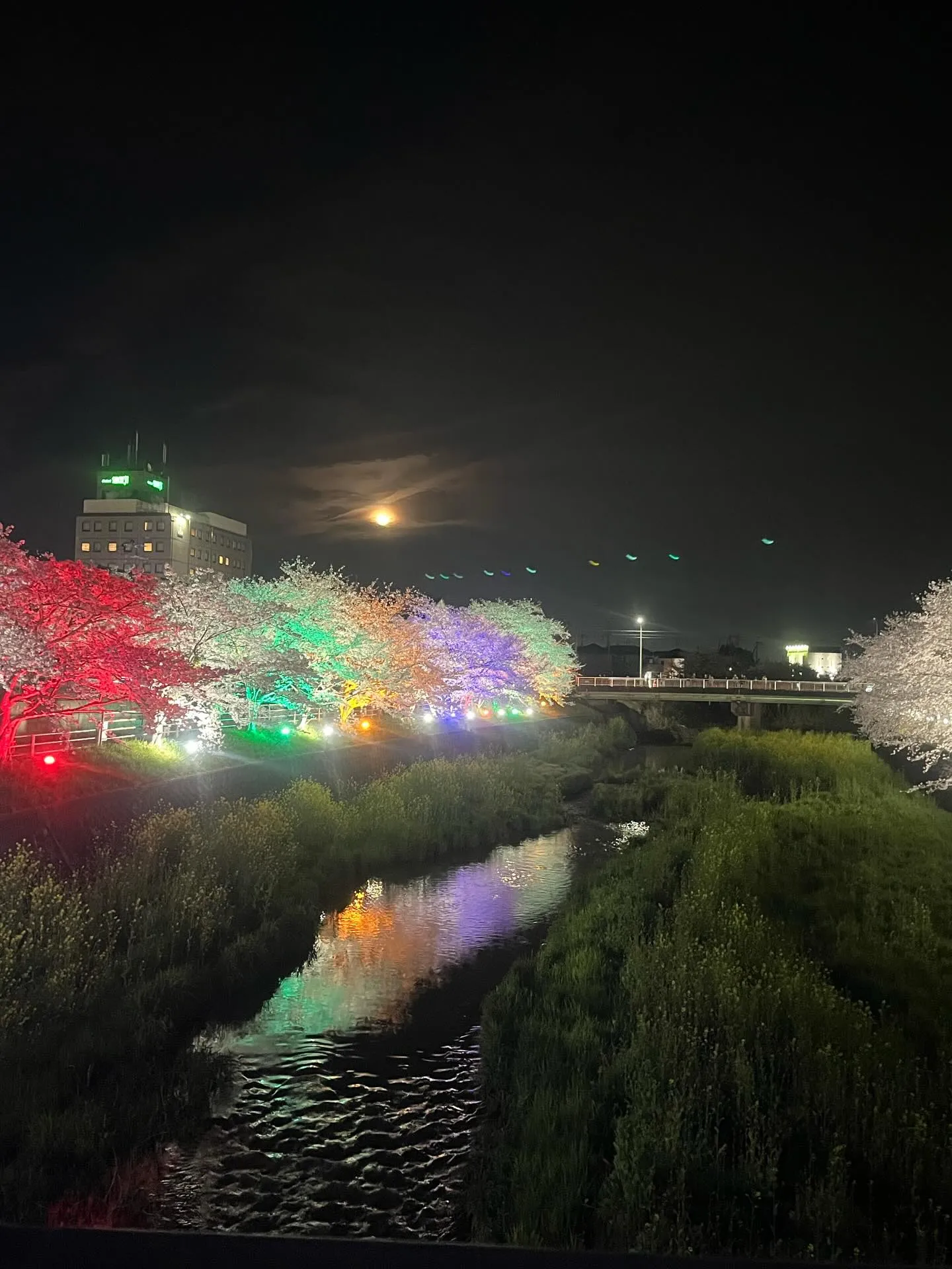 こんにちは！寺庄整骨院のスタッフです💁🏻‍♂️🍀