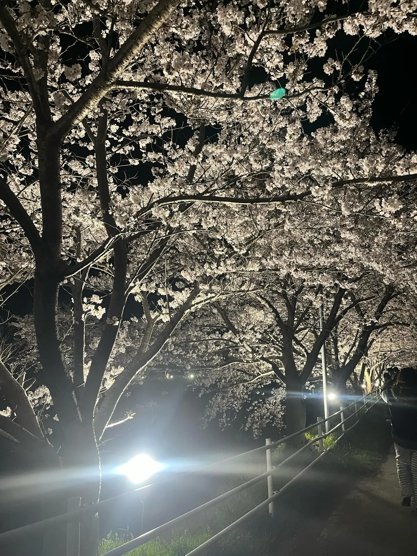 こんにちは！寺庄整骨院のスタッフです💁🏻‍♂️🍀