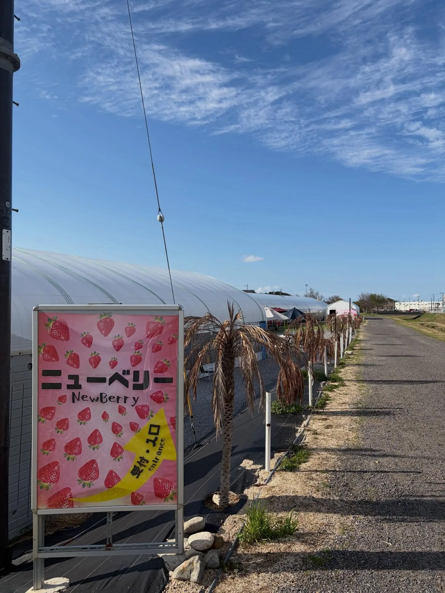 こんにちは！寺庄整骨院のスタッフで🙌🏻