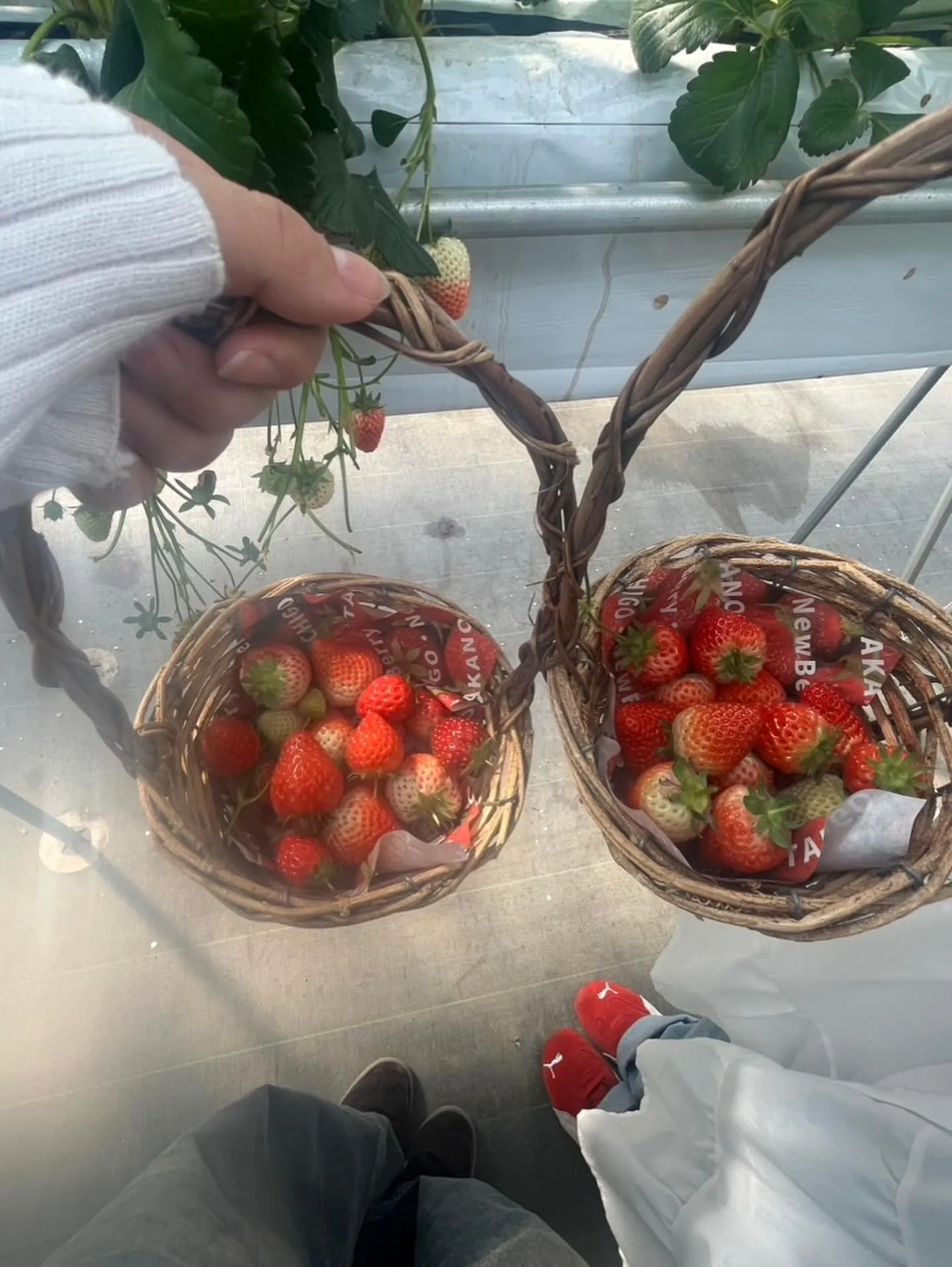 こんにちは！寺庄整骨院のスタッフで🙌🏻