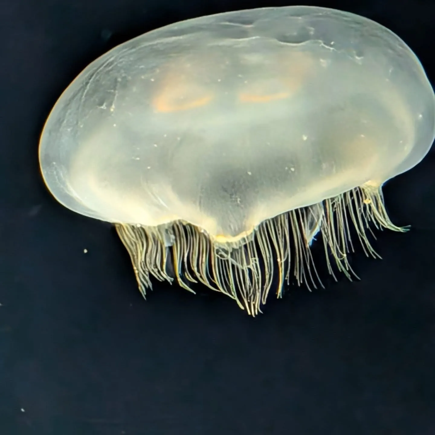 こんにちわ‼️