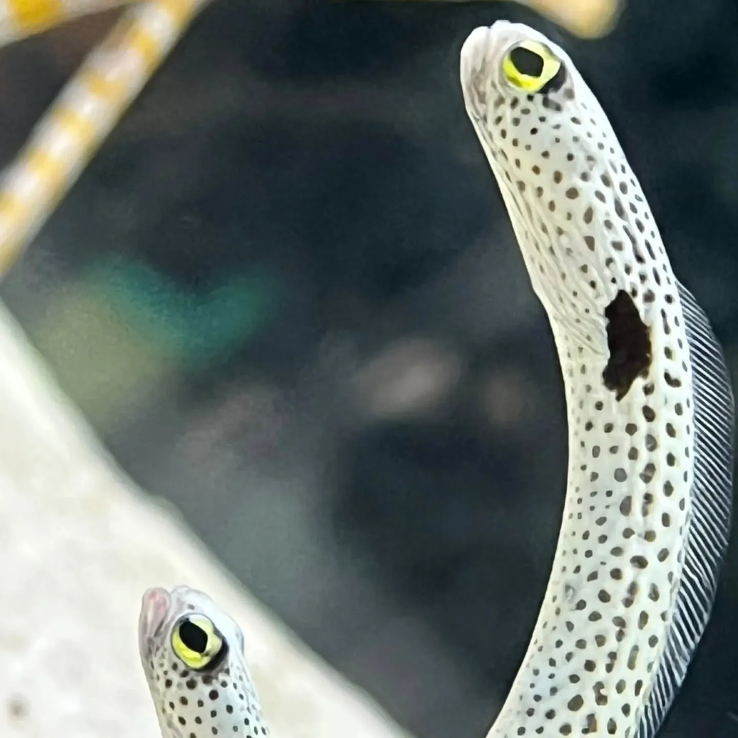 こんにちわ‼️