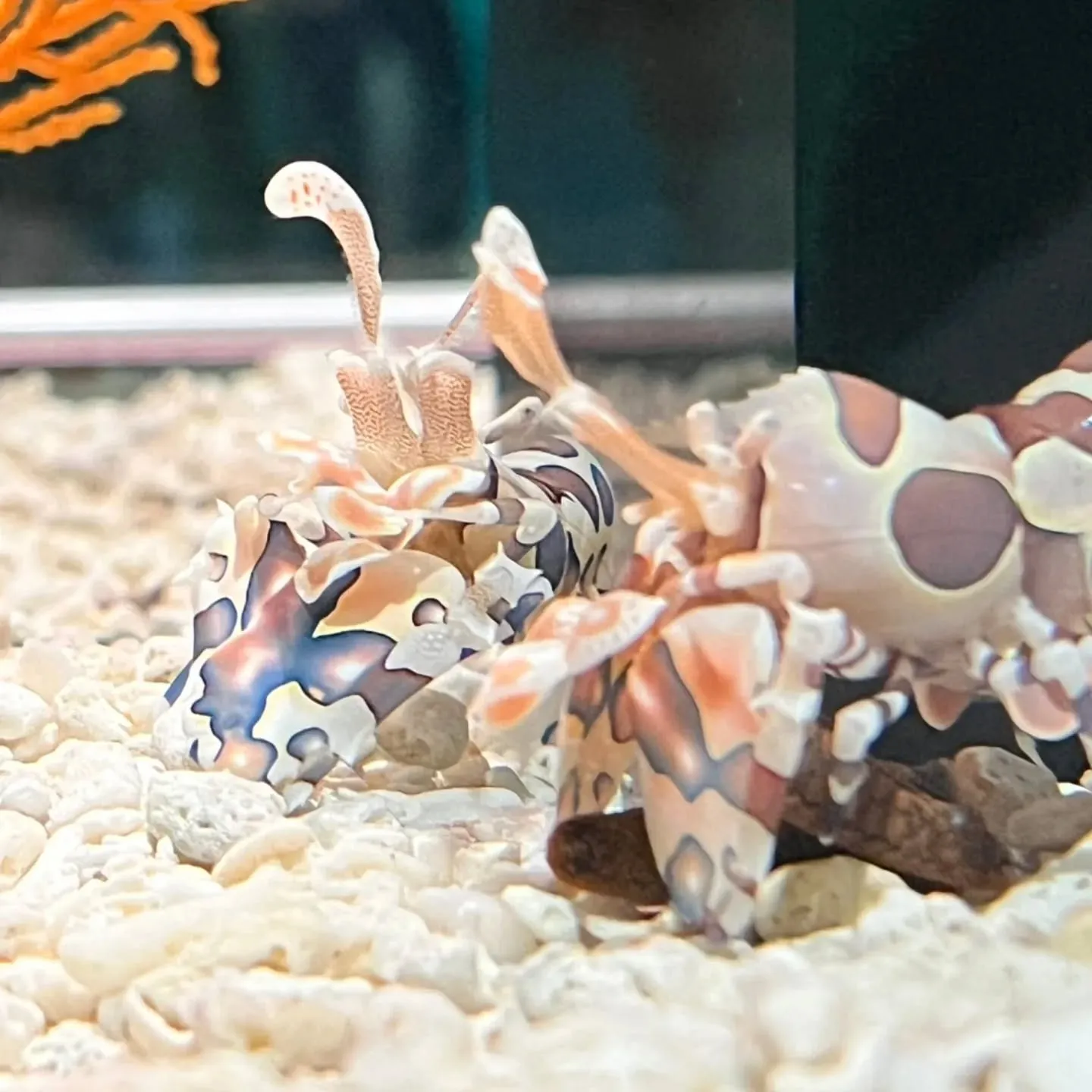 こんにちわ‼️