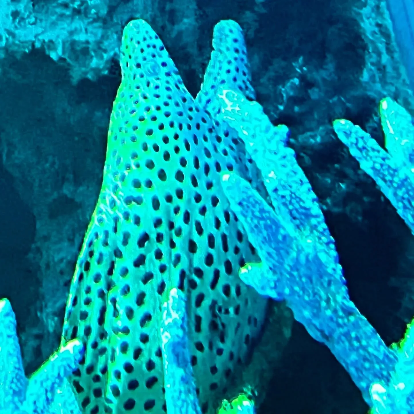 こんにちわ‼️