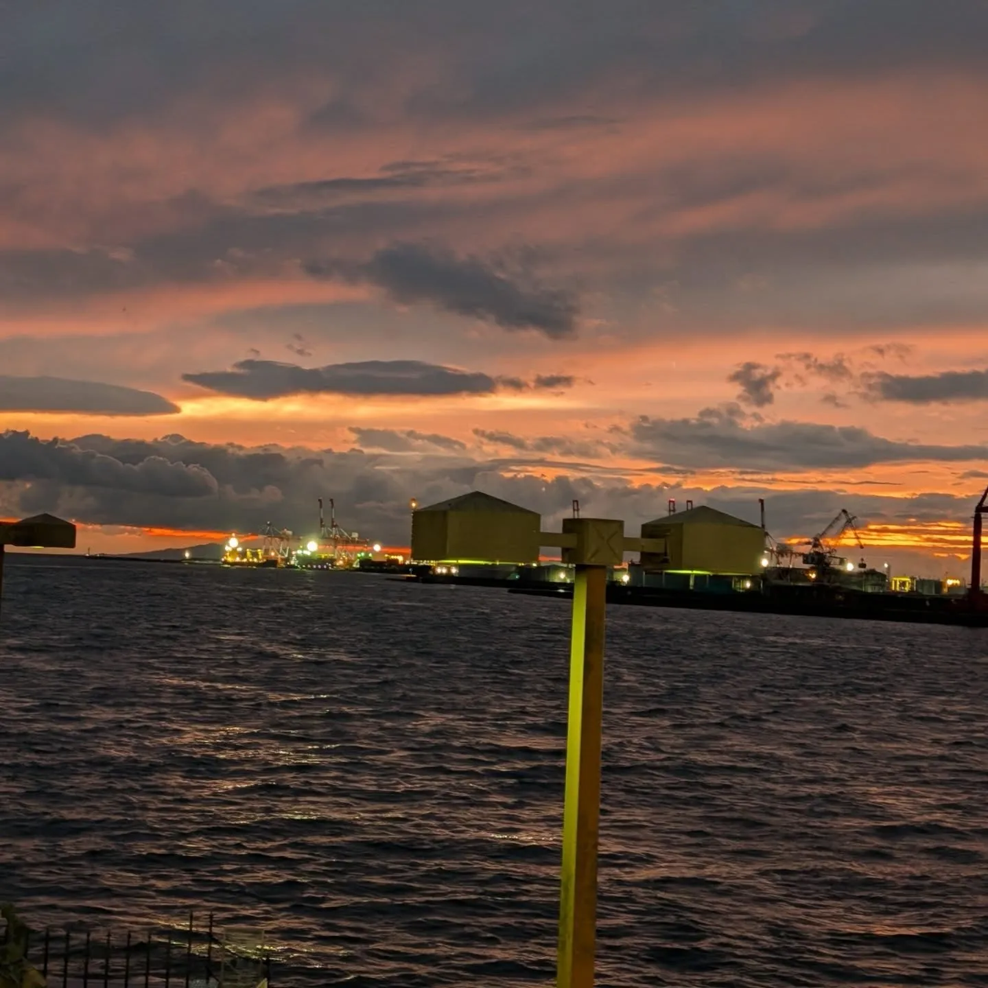 こんにちわ‼️