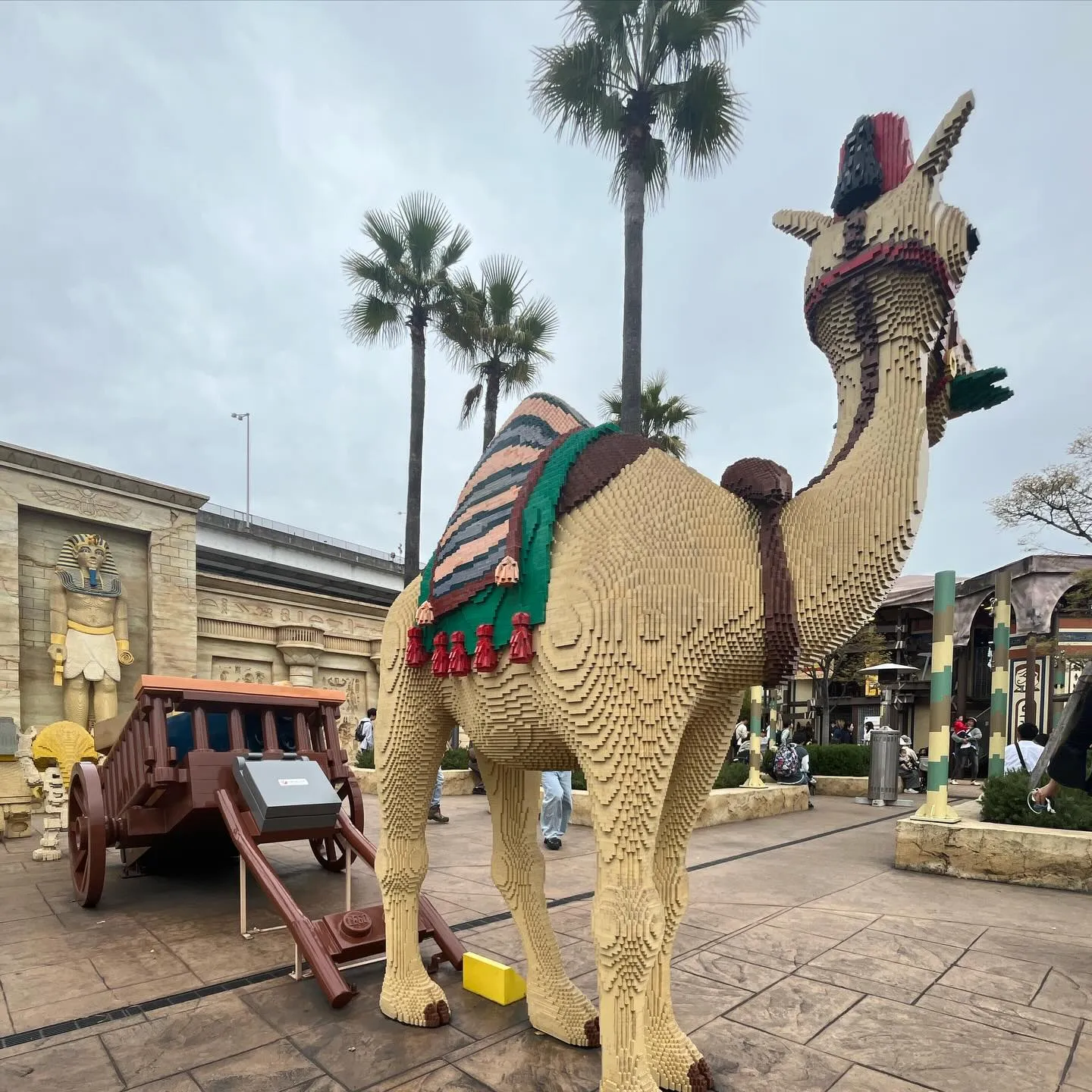 こんにちは！寺庄整骨院のスタッフです💁🏻‍♂️🍀