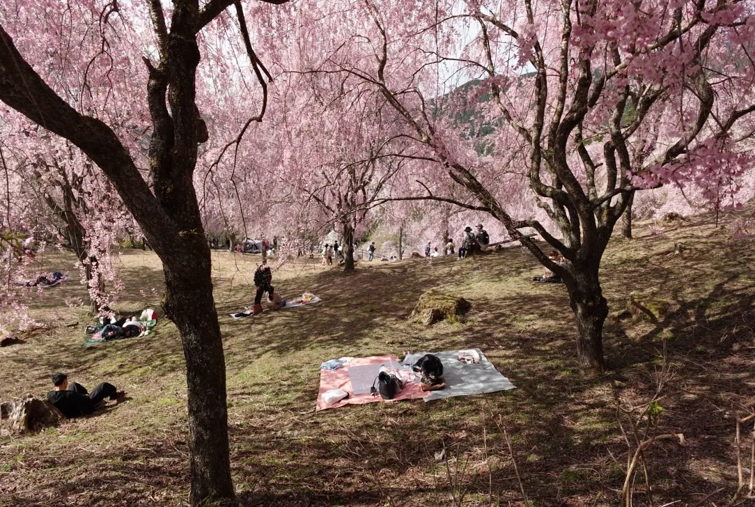 こんにちは(*^^*)寺庄整骨院のスタッフです✨
