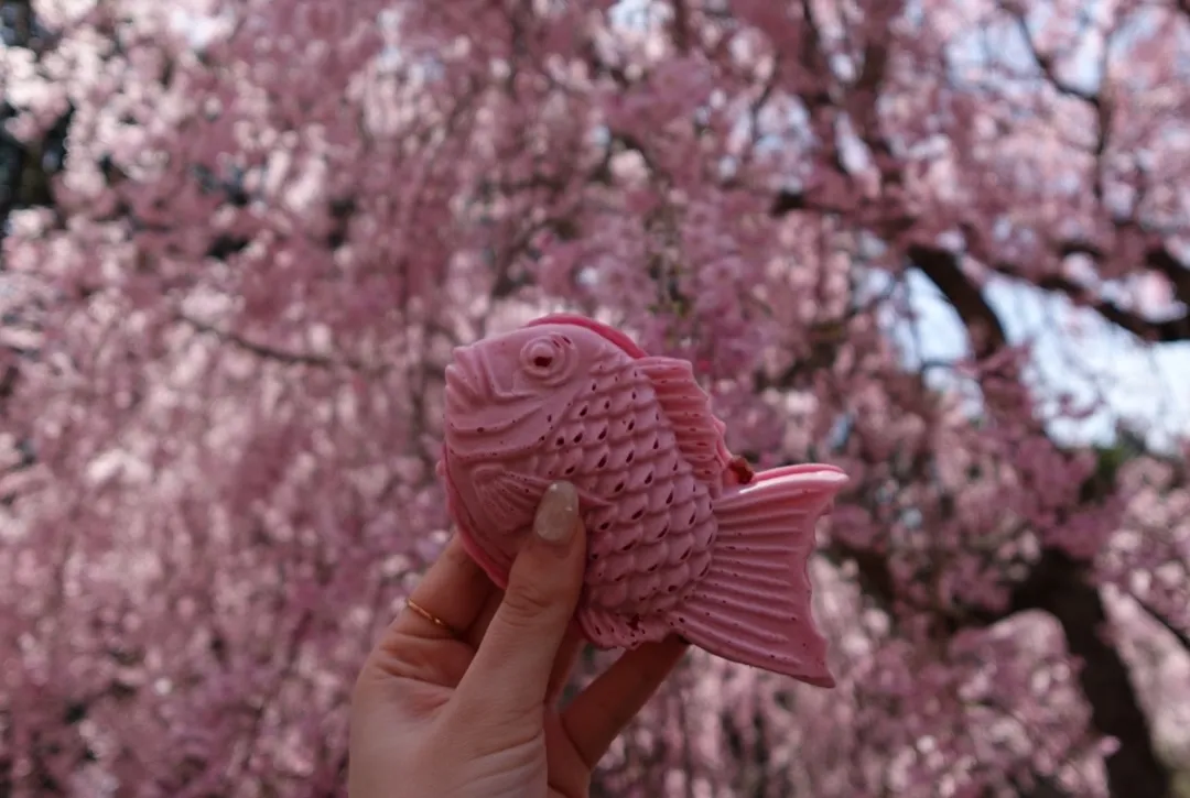 こんにちは(*^^*)寺庄整骨院のスタッフです✨