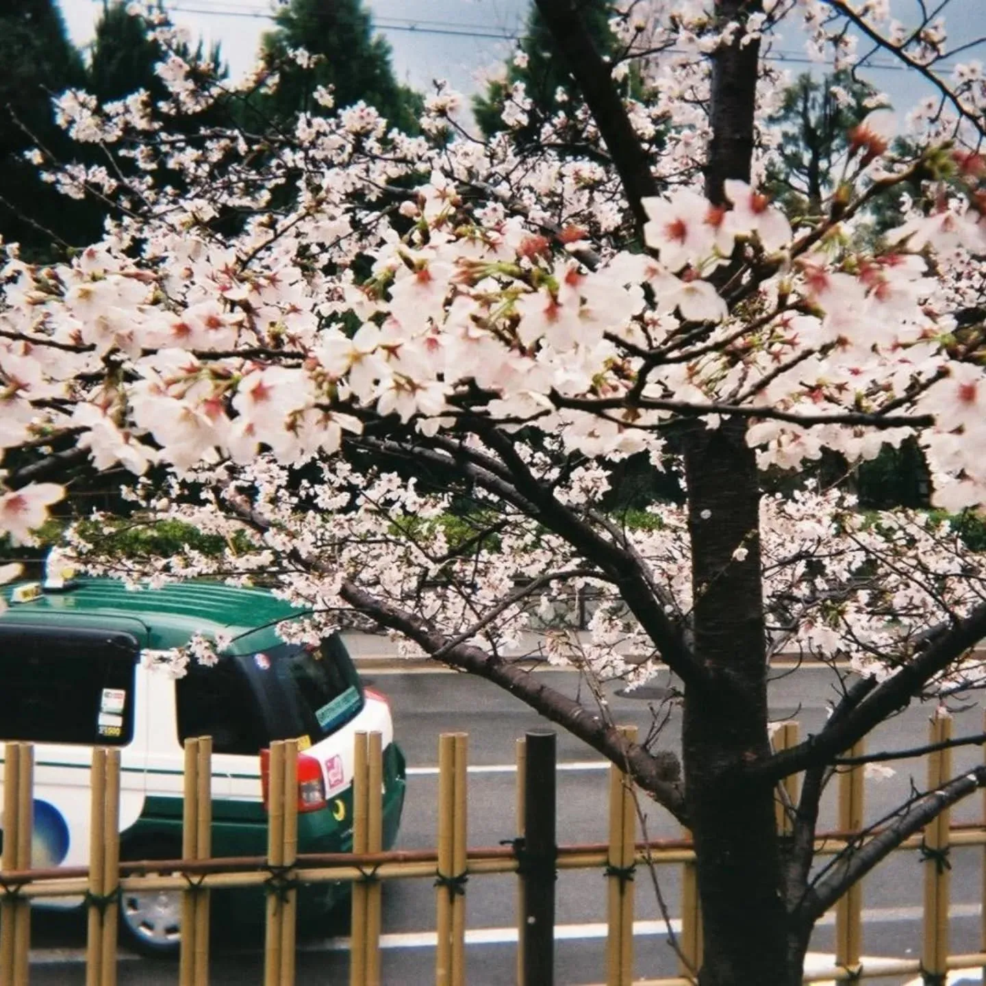 こんにちわ‼️