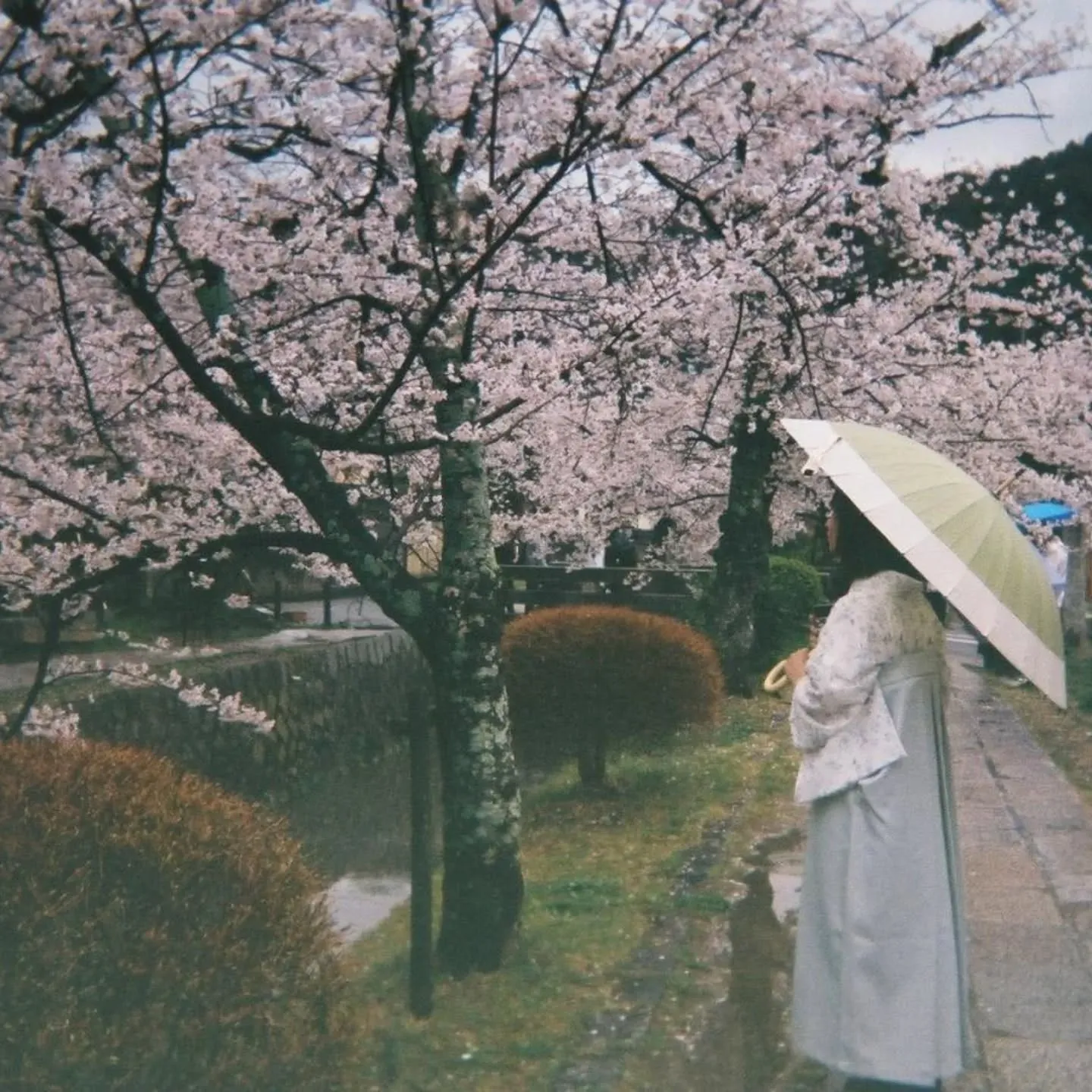 こんにちわ‼️