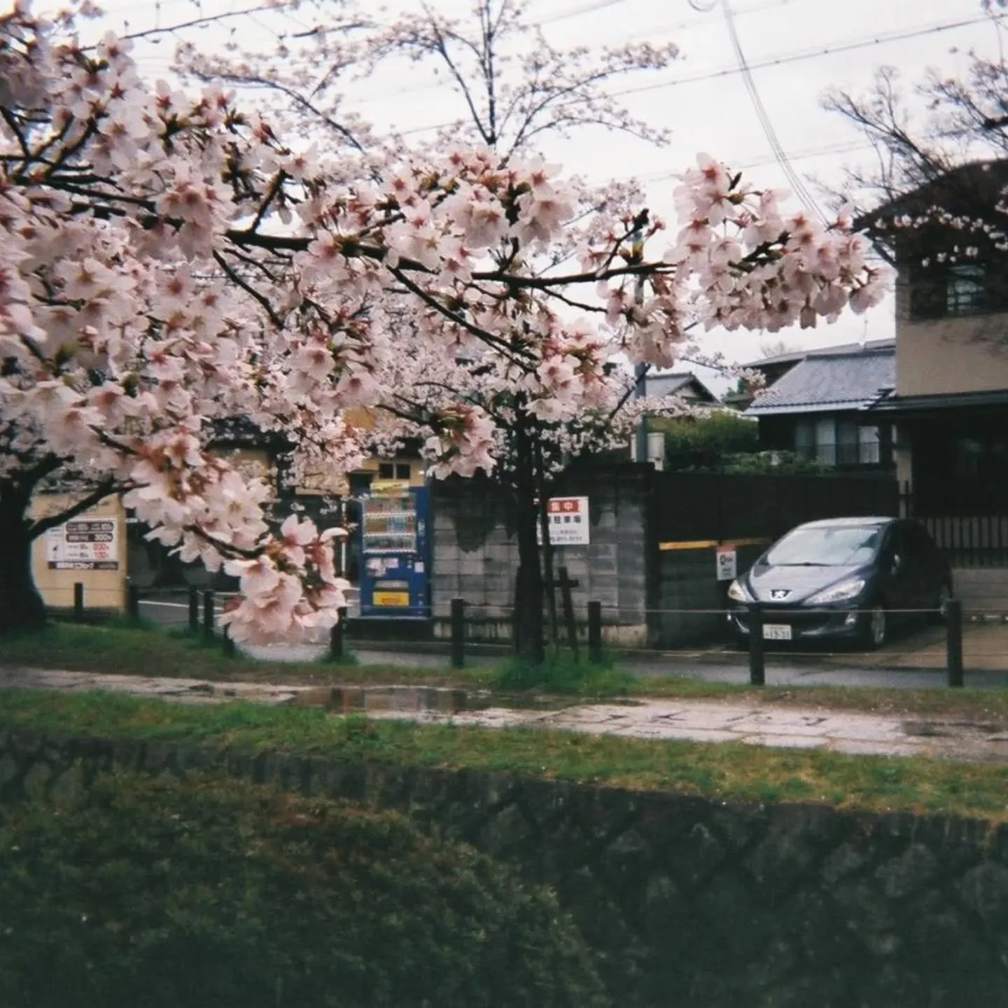 こんにちわ‼️