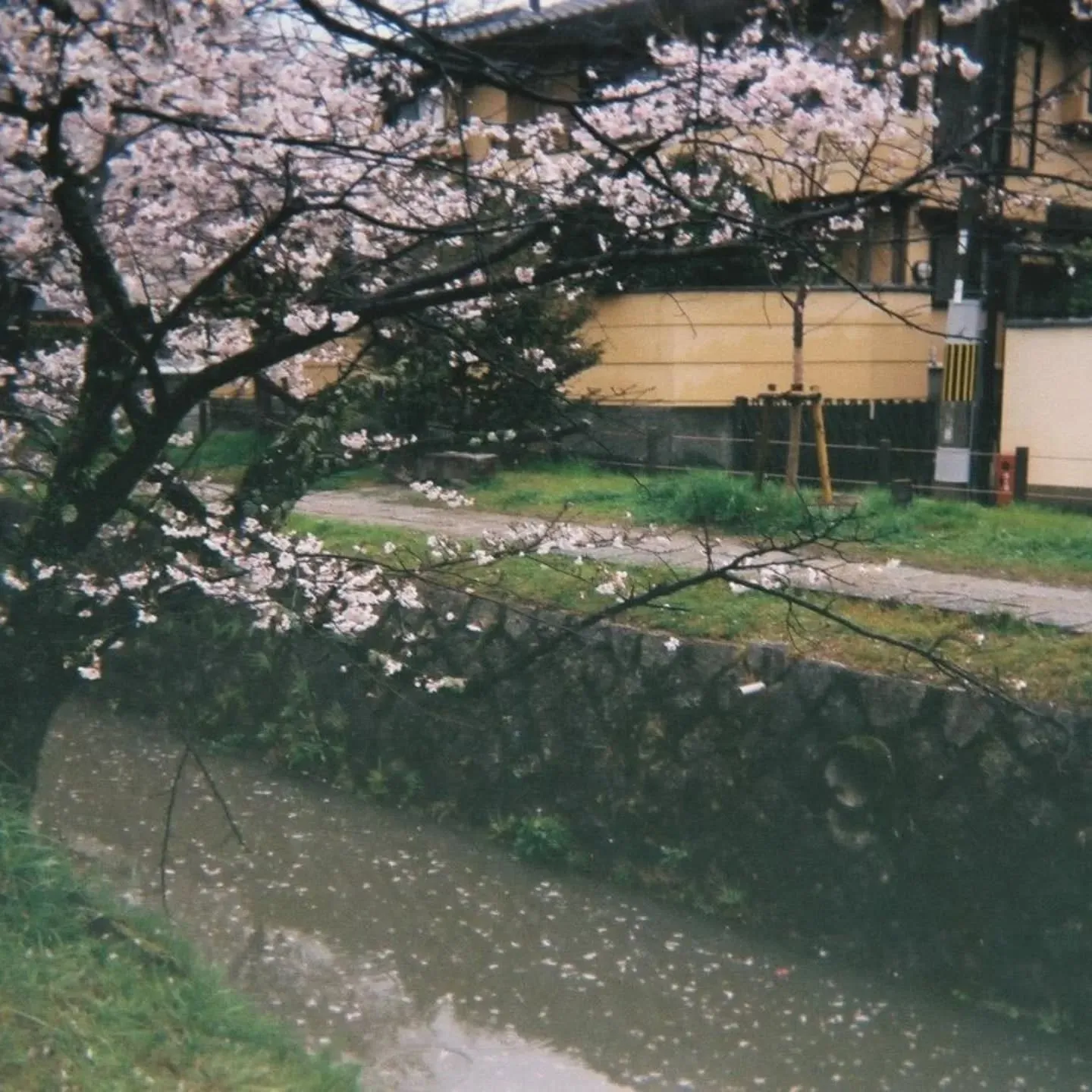 こんにちわ‼️