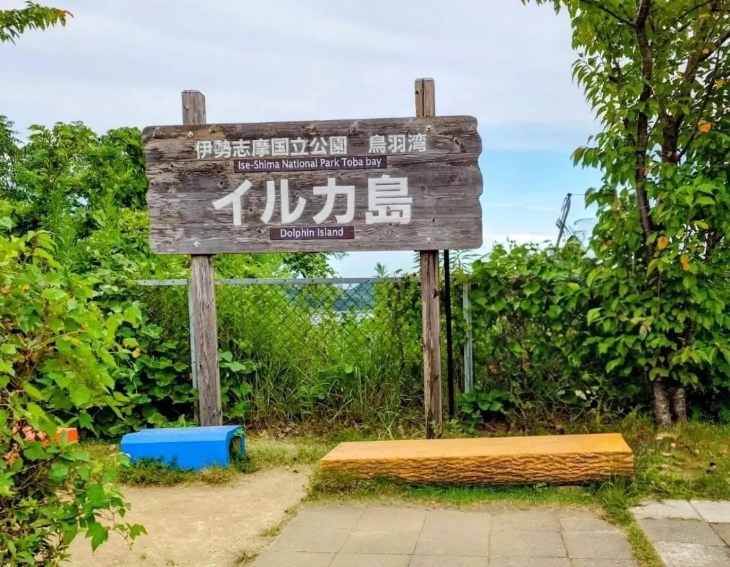 こんにちは♪