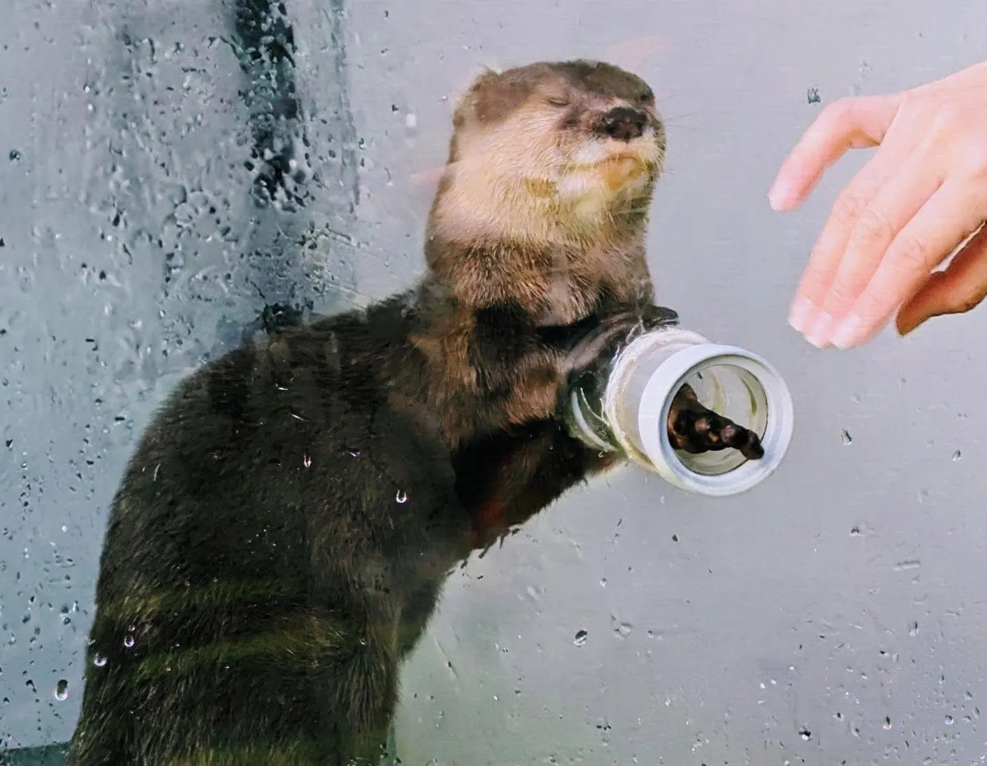 こんにちは♪