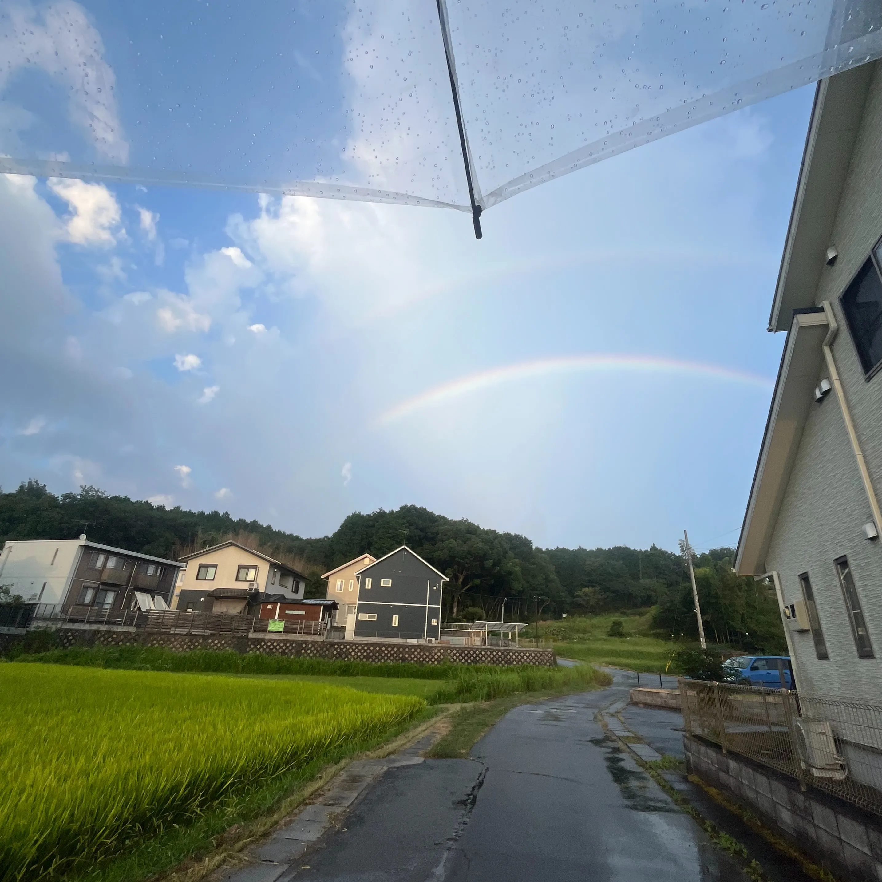こんにちは！寺庄整骨院のスタッフです💁🏻‍♂️🍀