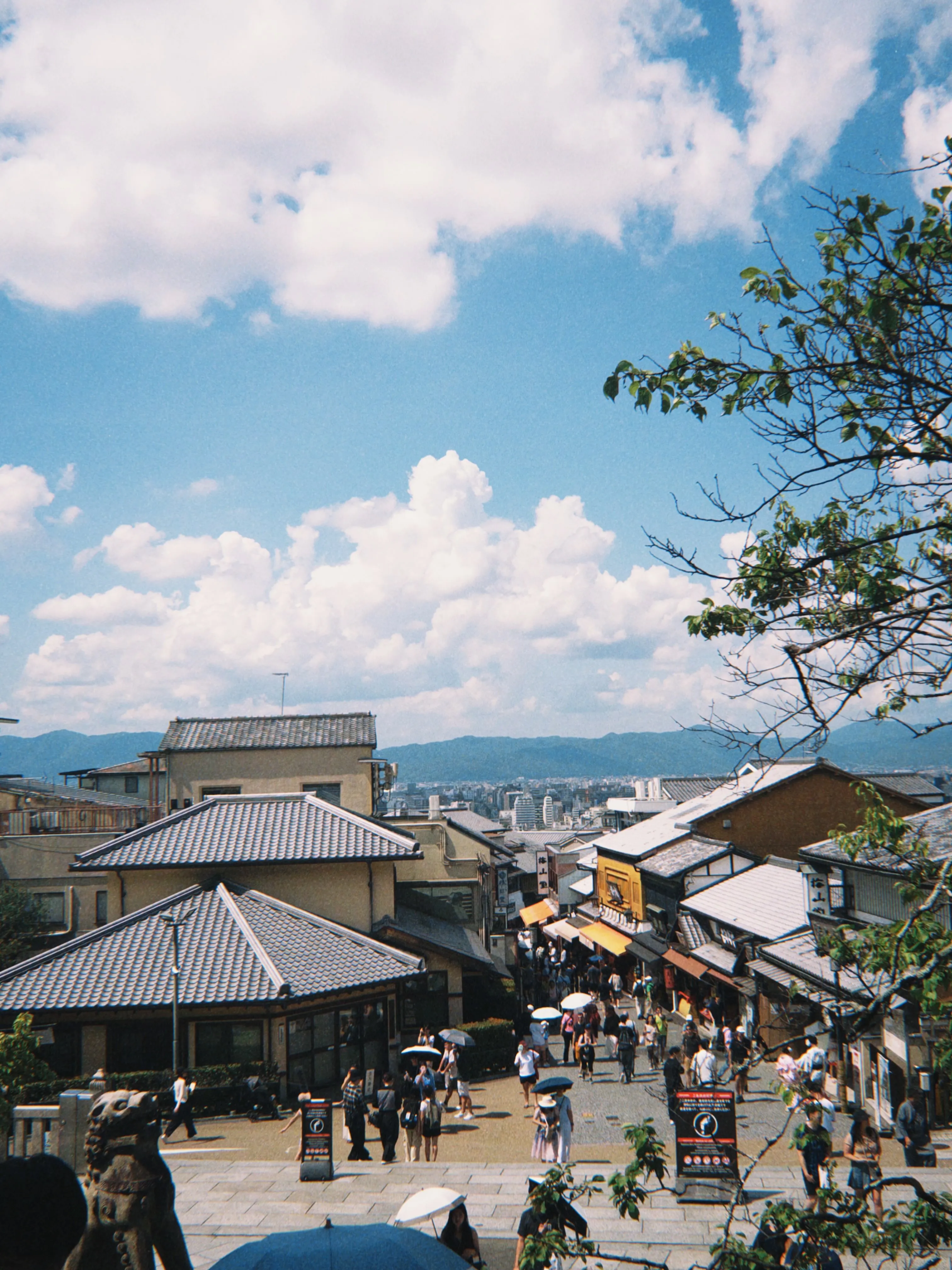 こんにちは♪寺庄整骨院のスタッフです！