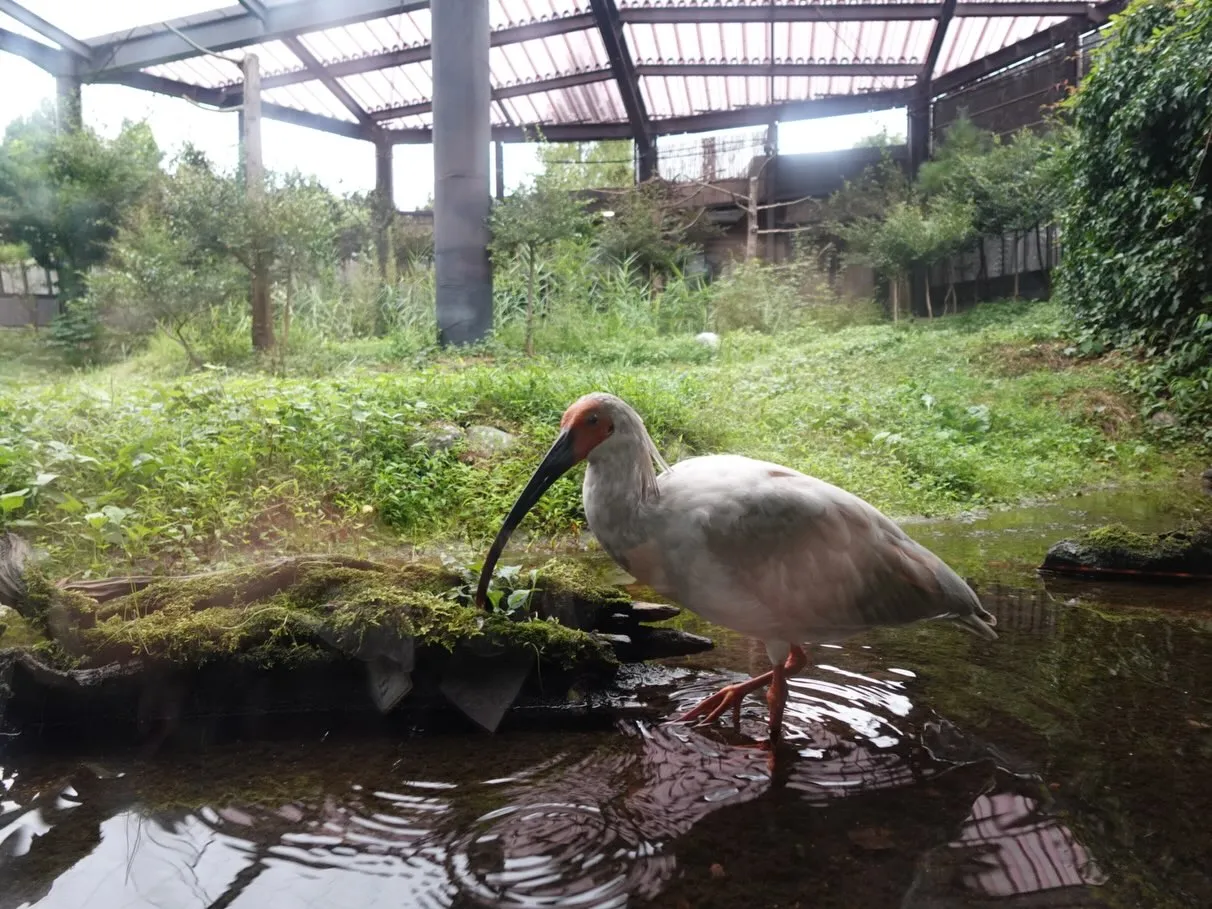 こんにちは♪寺庄整骨院のスタッフです🍀