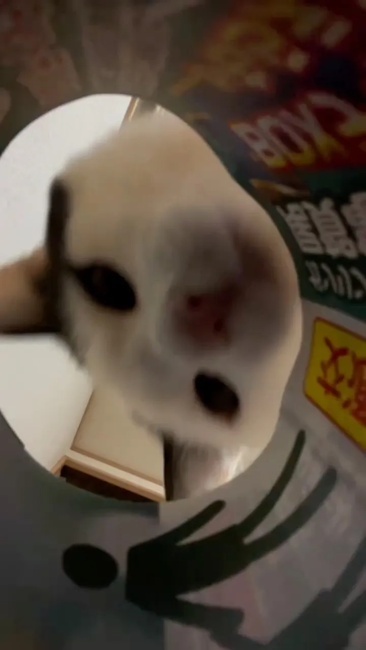 こんにちは！