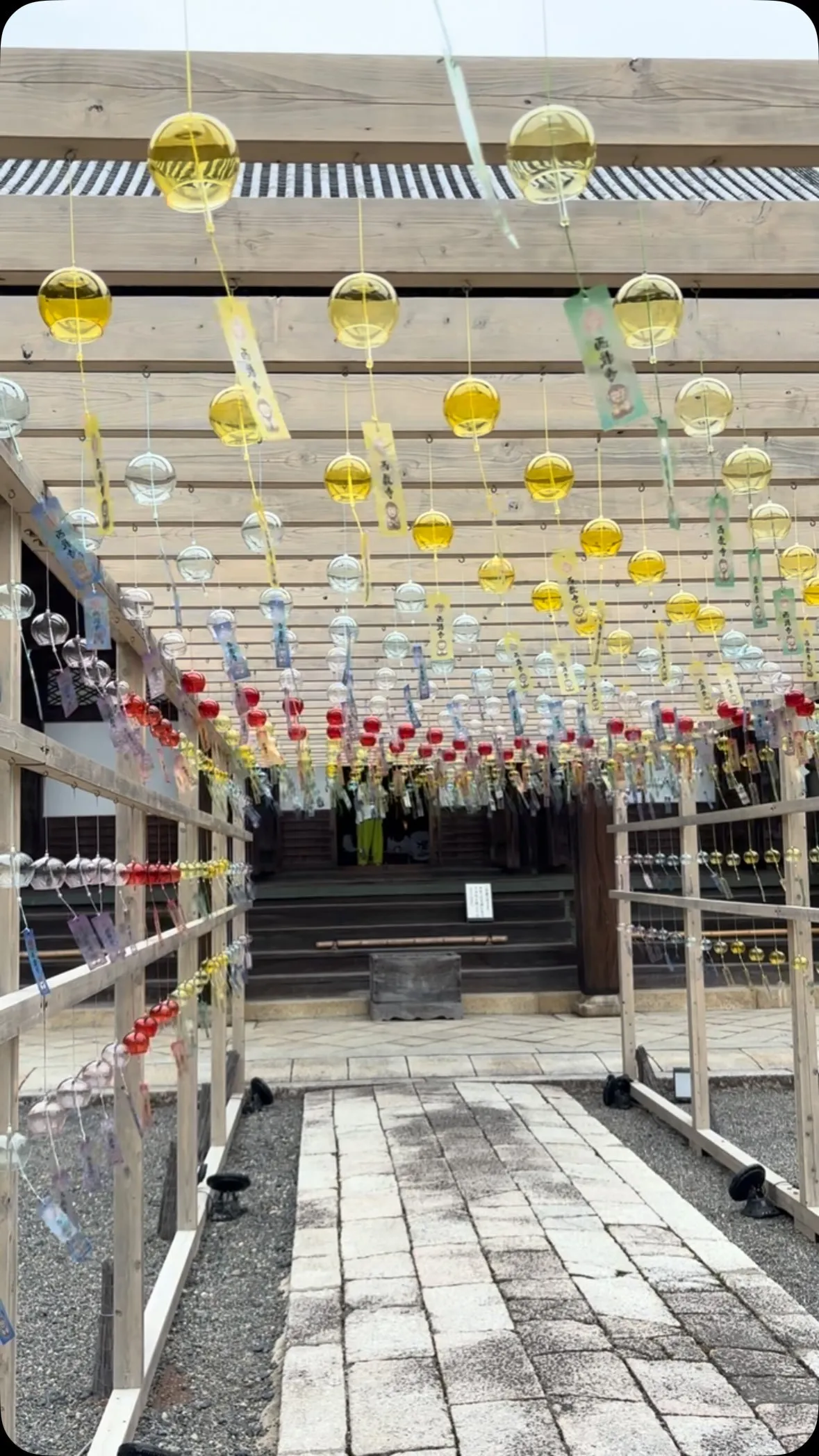こんにちは!寺庄接骨院のスタッフです！